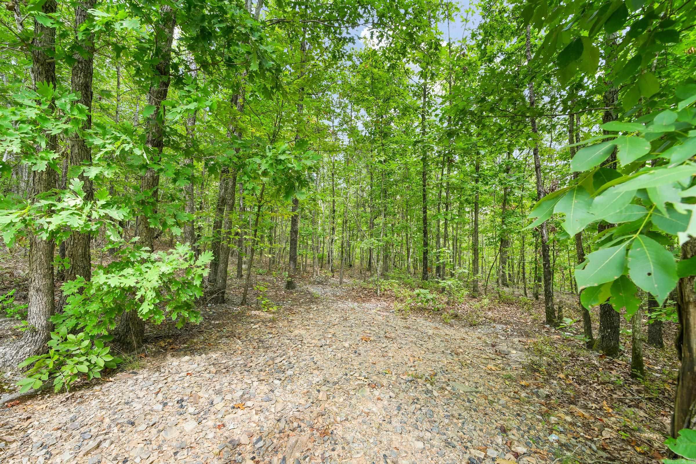 209  Massey Ln  Mena, AR