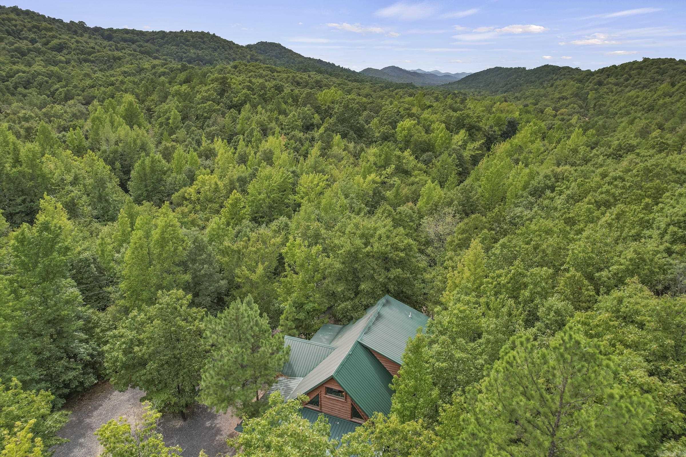 209  Massey Ln  Mena, AR