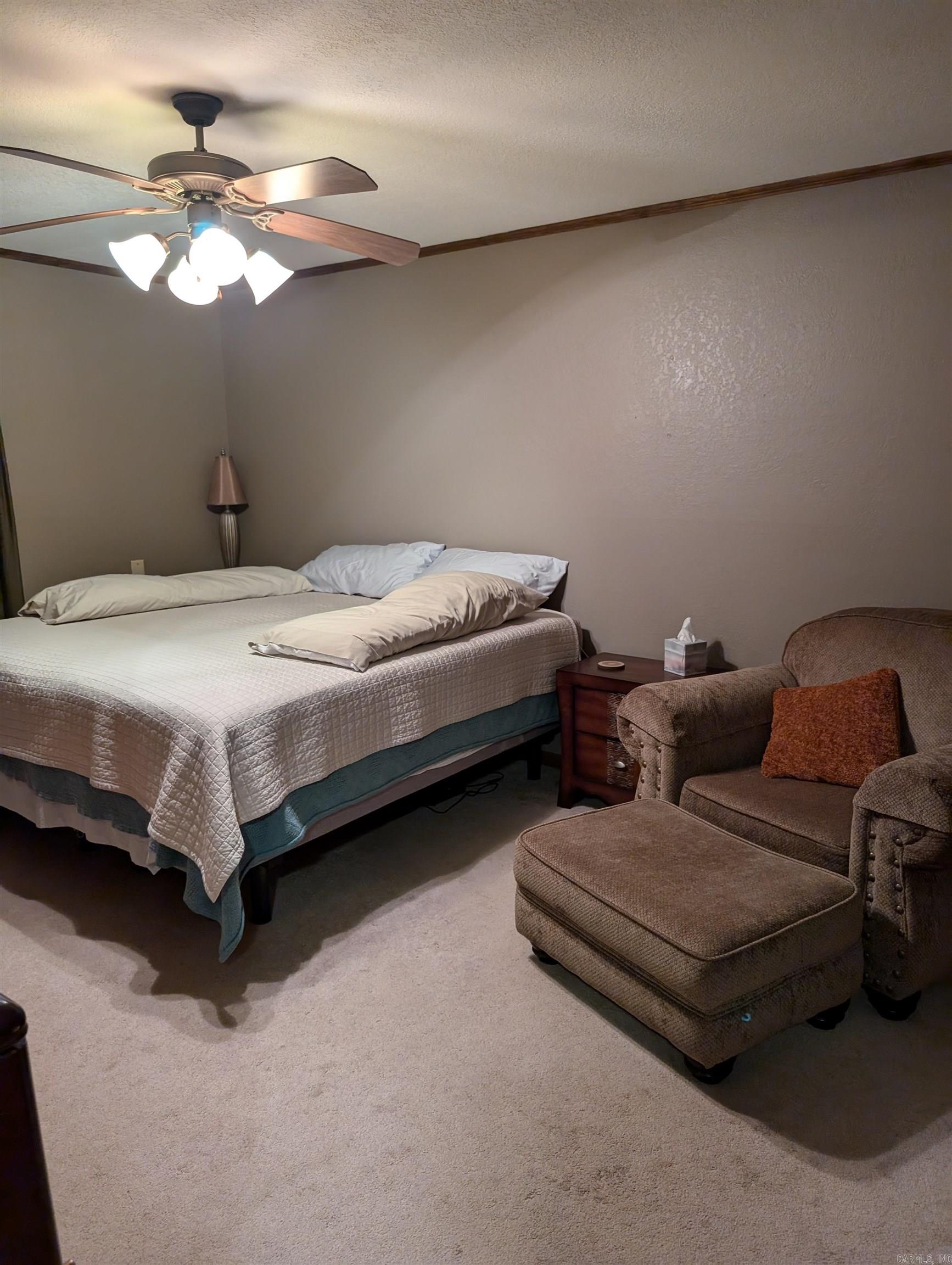 6568  Greene 224 Rd  Beech Grove, AR