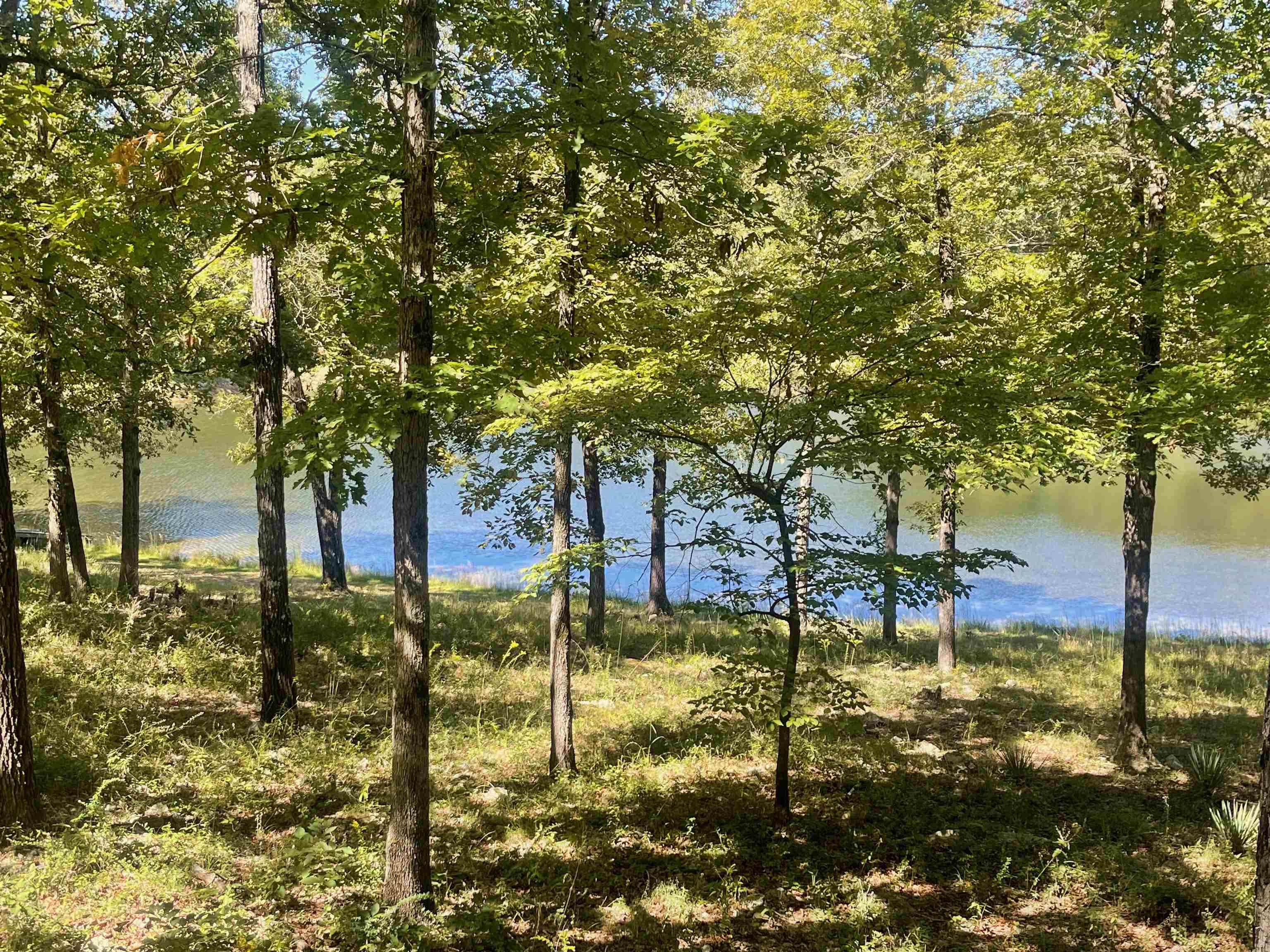910  Nelsonville  Smithville, AR