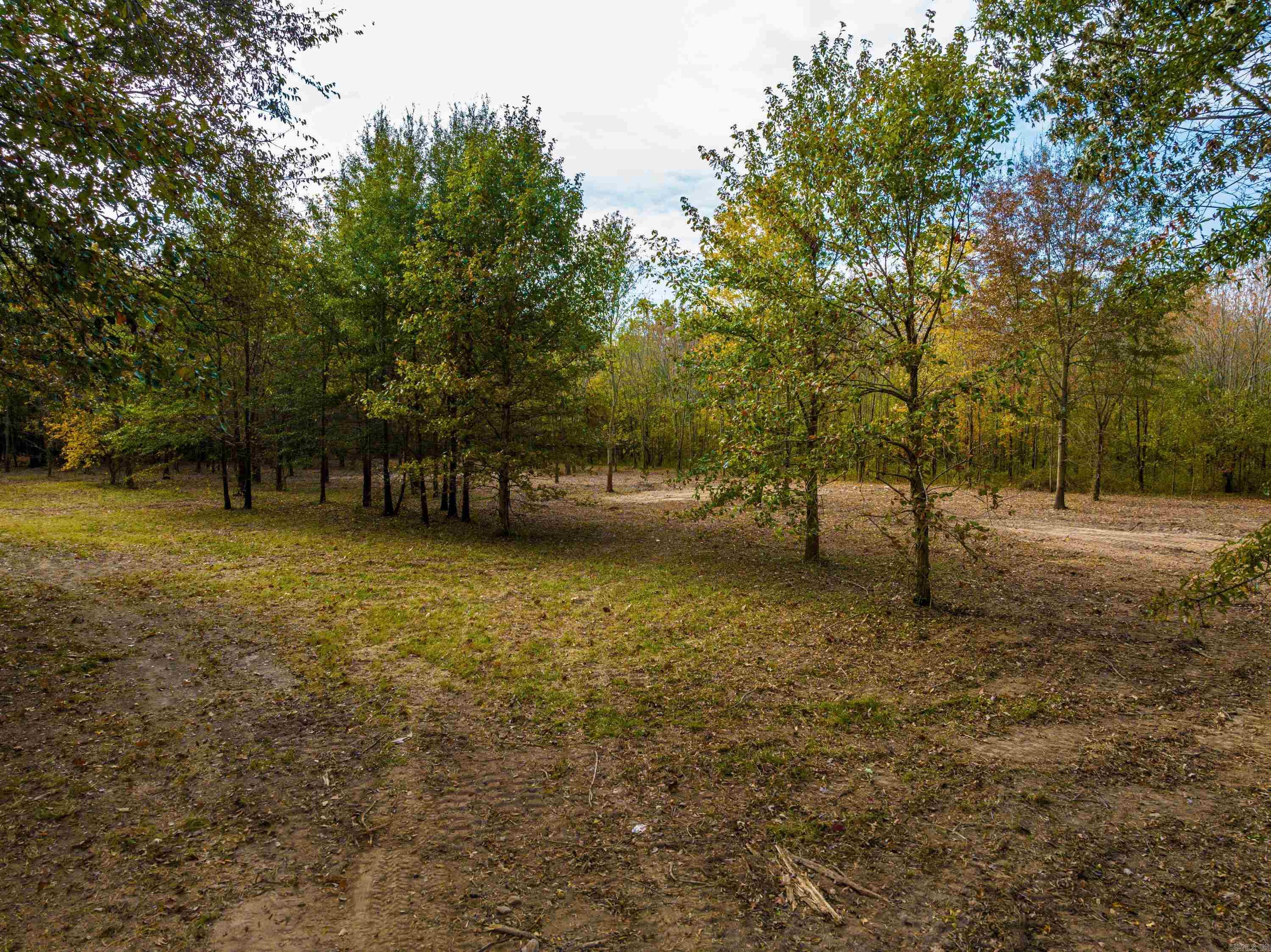0  Cox Rd  Biggers, AR