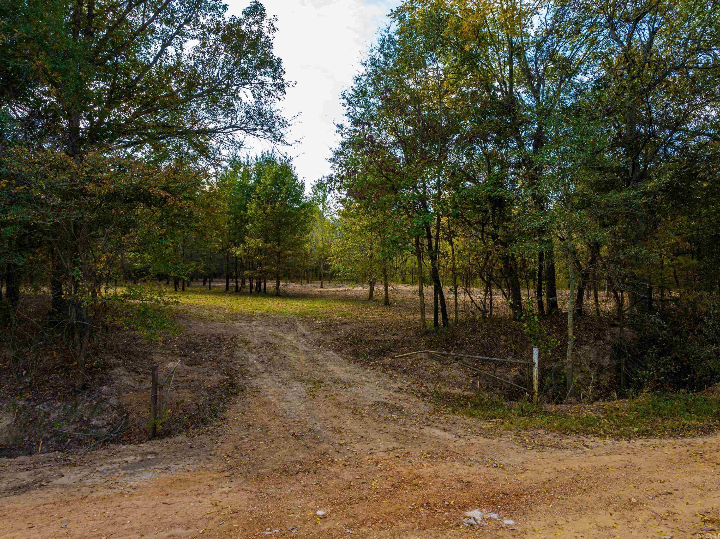 0  Cox Rd  Biggers, AR
