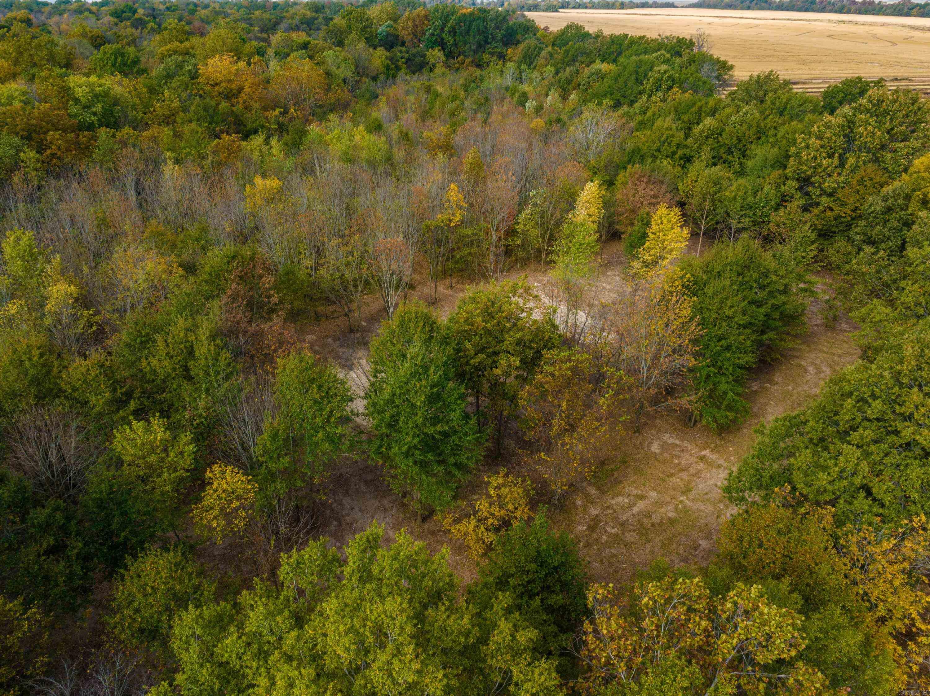 0  Cox Rd  Biggers, AR