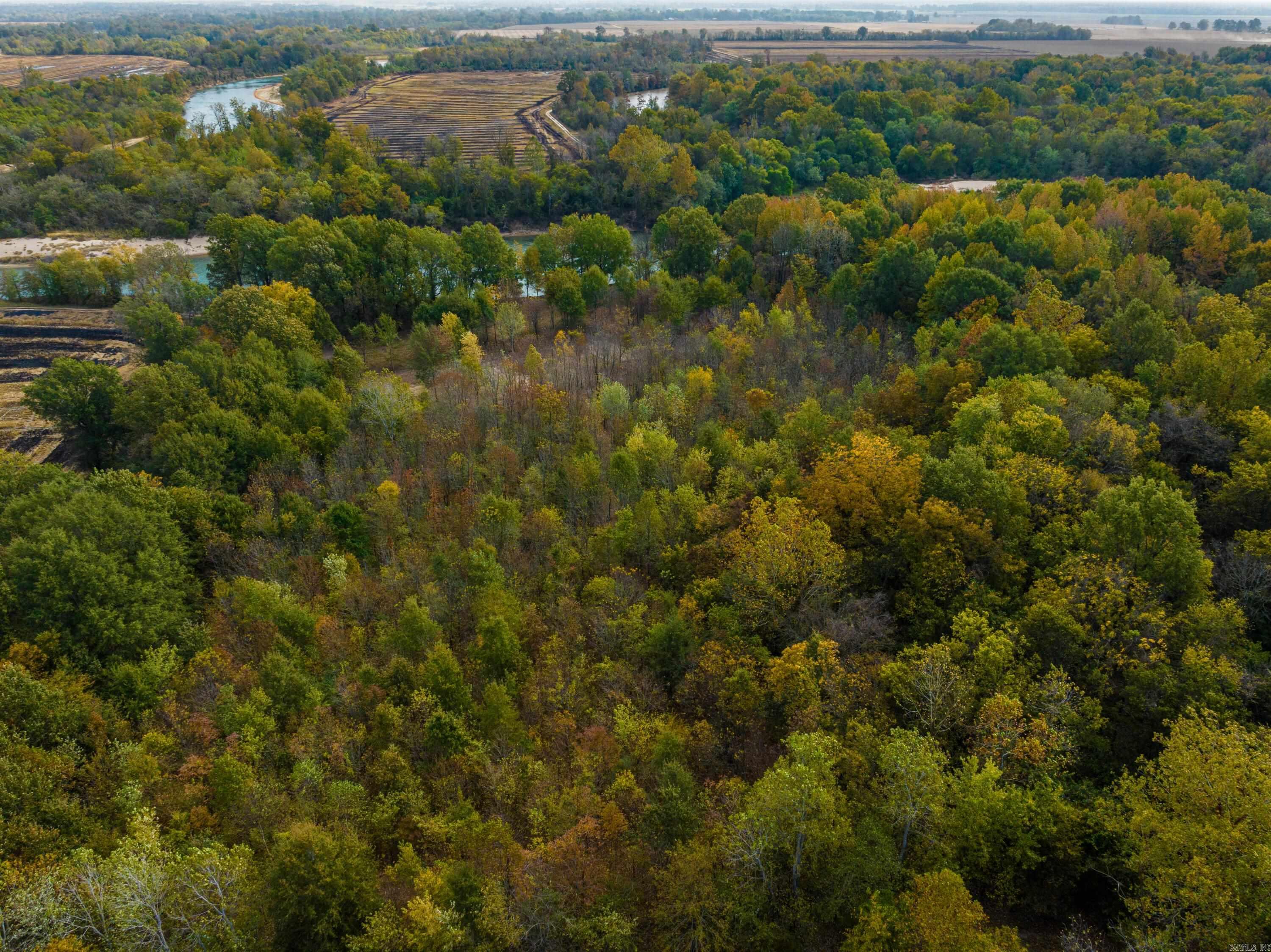 0  Cox Rd  Biggers, AR