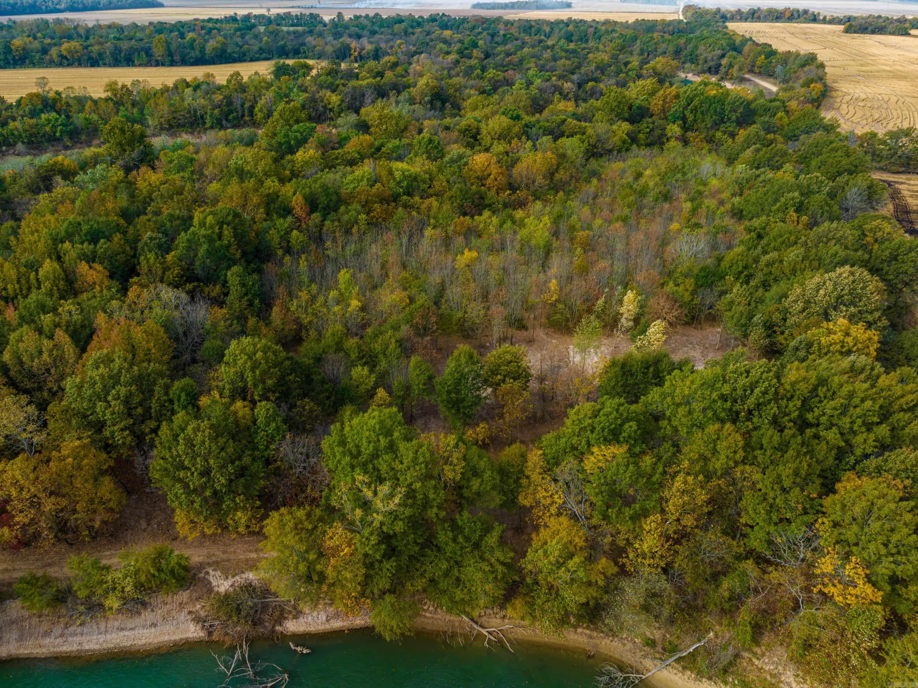 0  Cox Rd  Biggers, AR