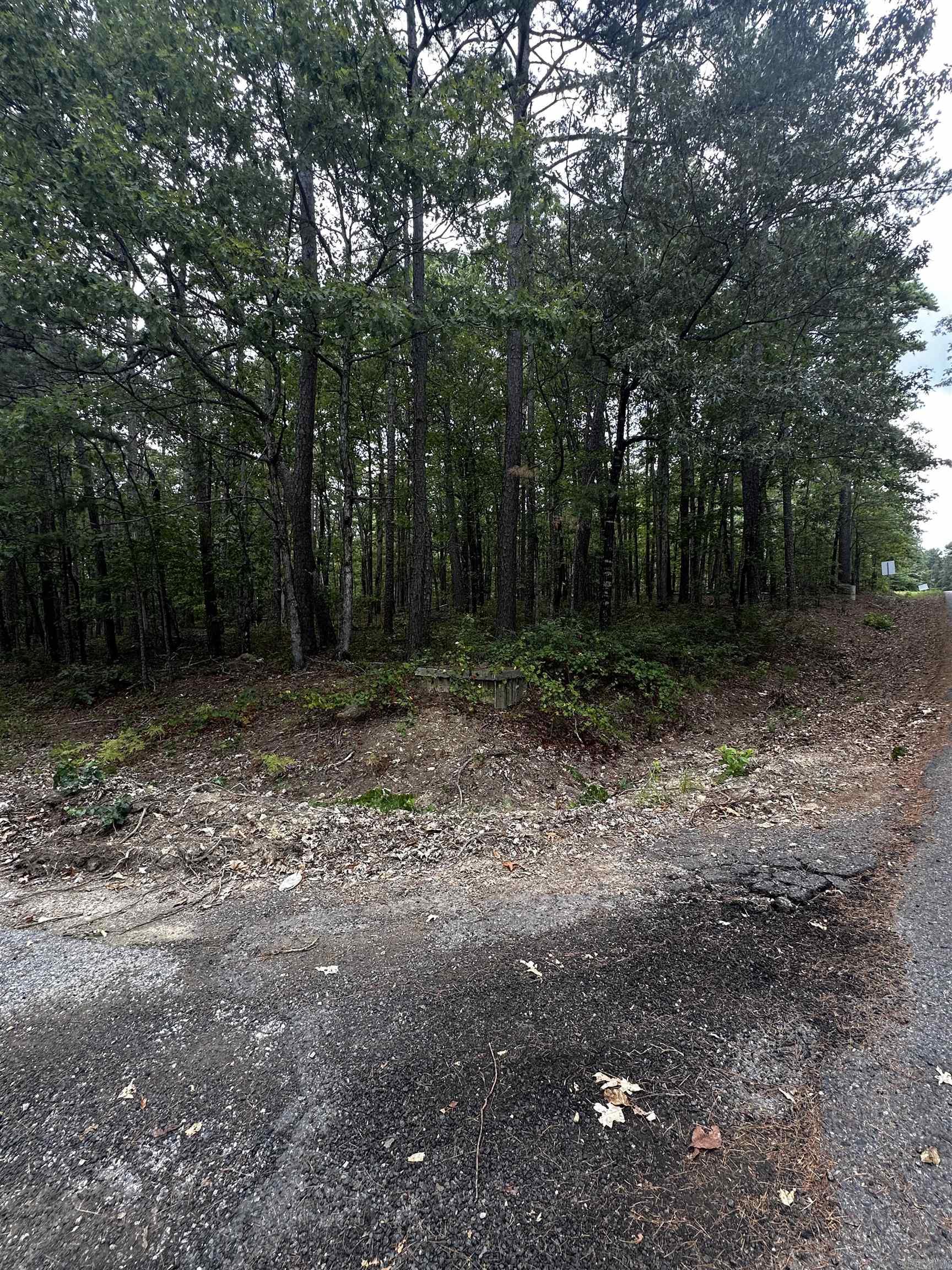 2  Moncada Way  Hot Springs Village, AR