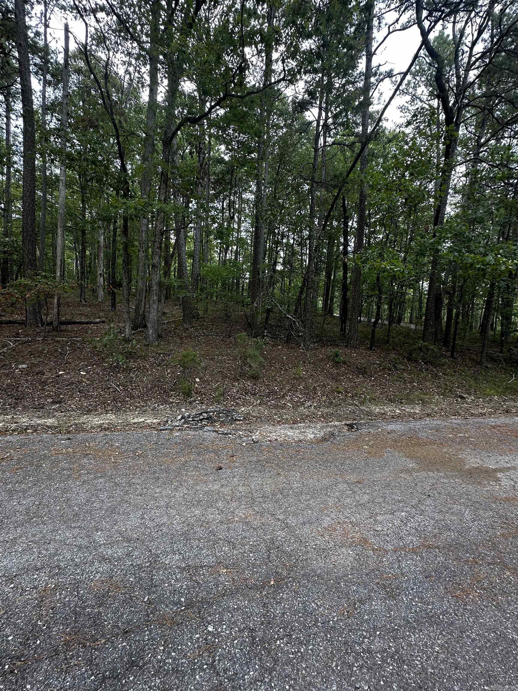 2  Moncada Way  Hot Springs Village, AR