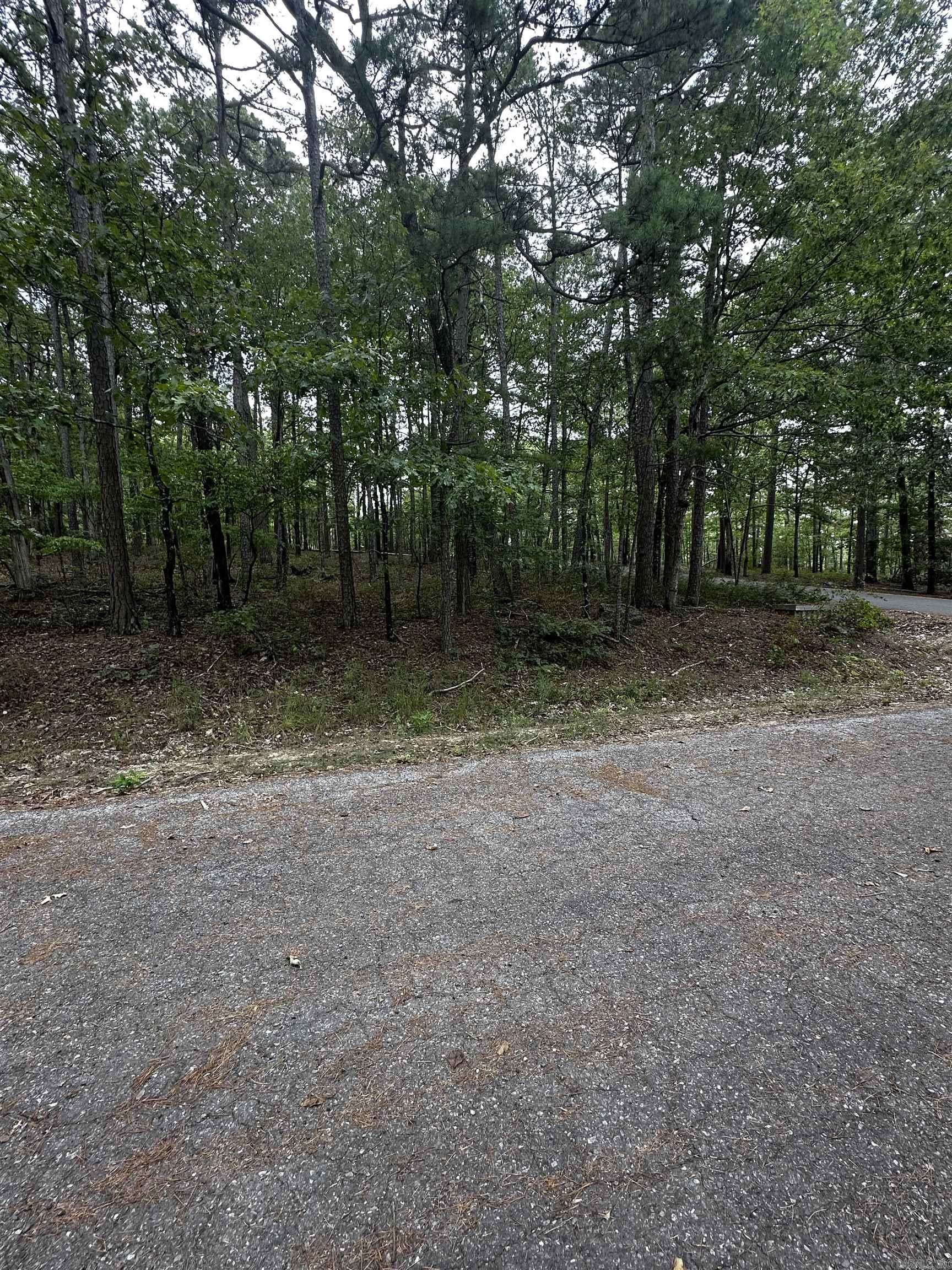 2  Moncada Way  Hot Springs Village, AR