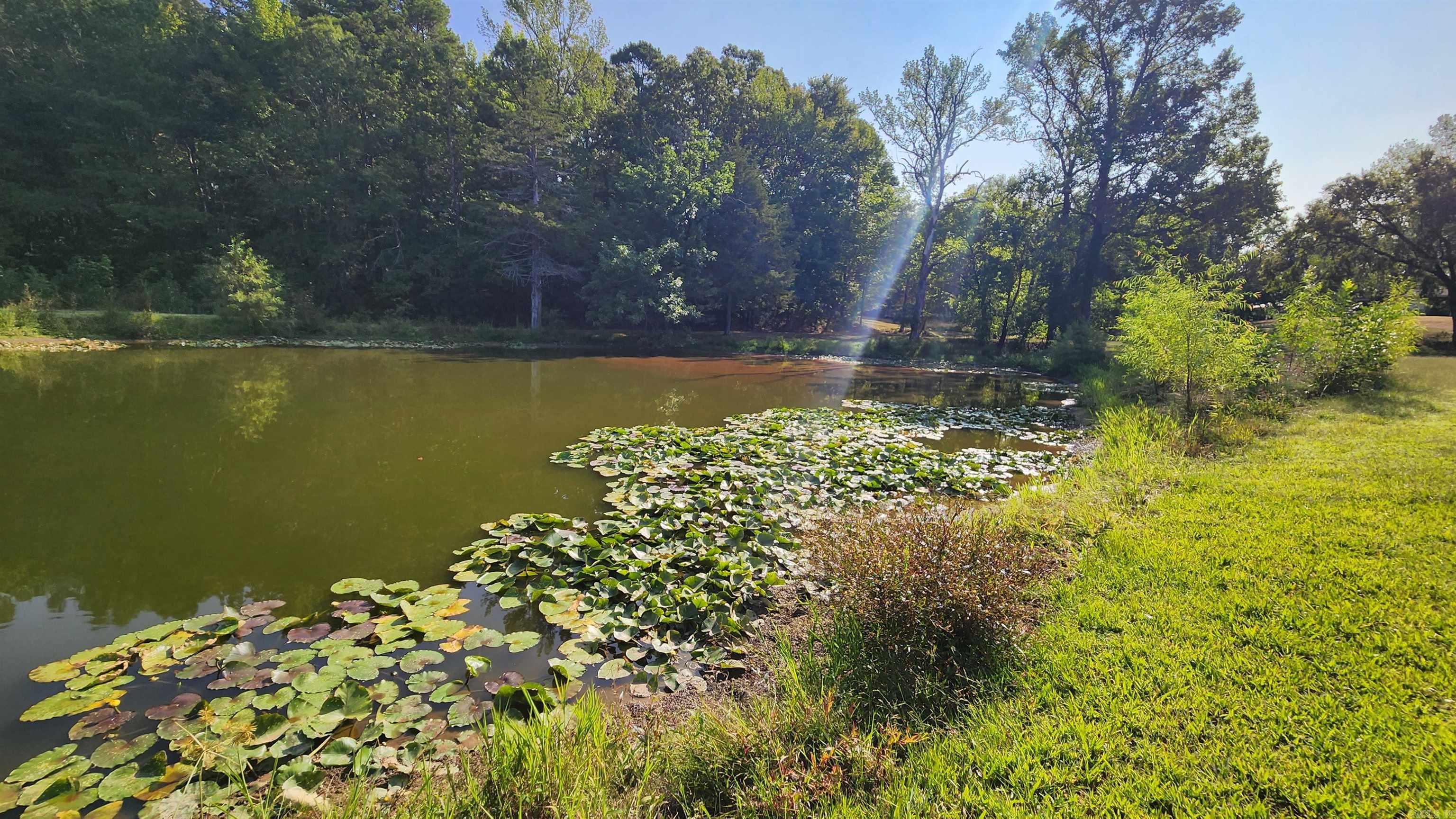 2742 E Highway 270  Mount Ida, AR