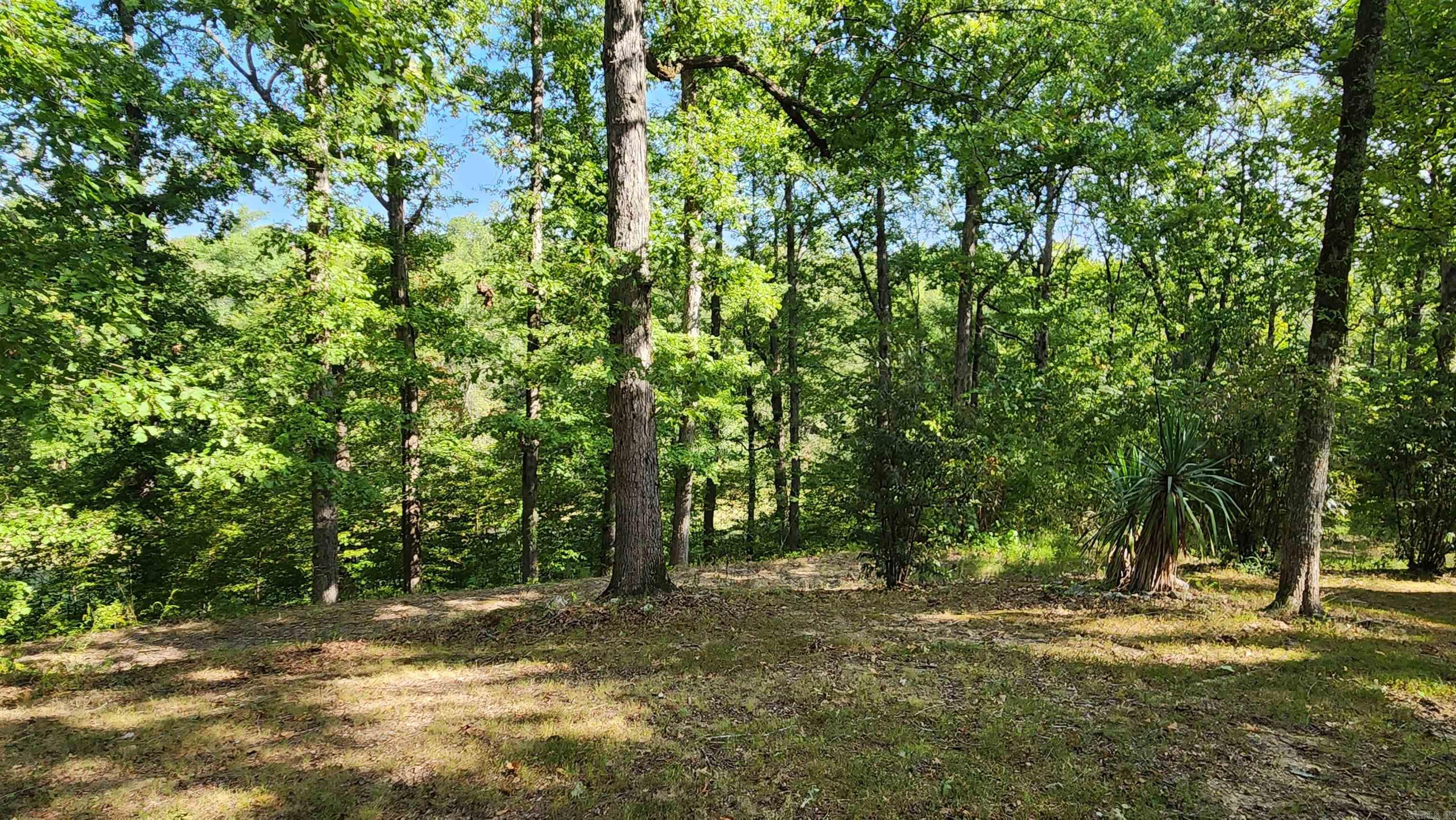 2742 E Highway 270  Mount Ida, AR