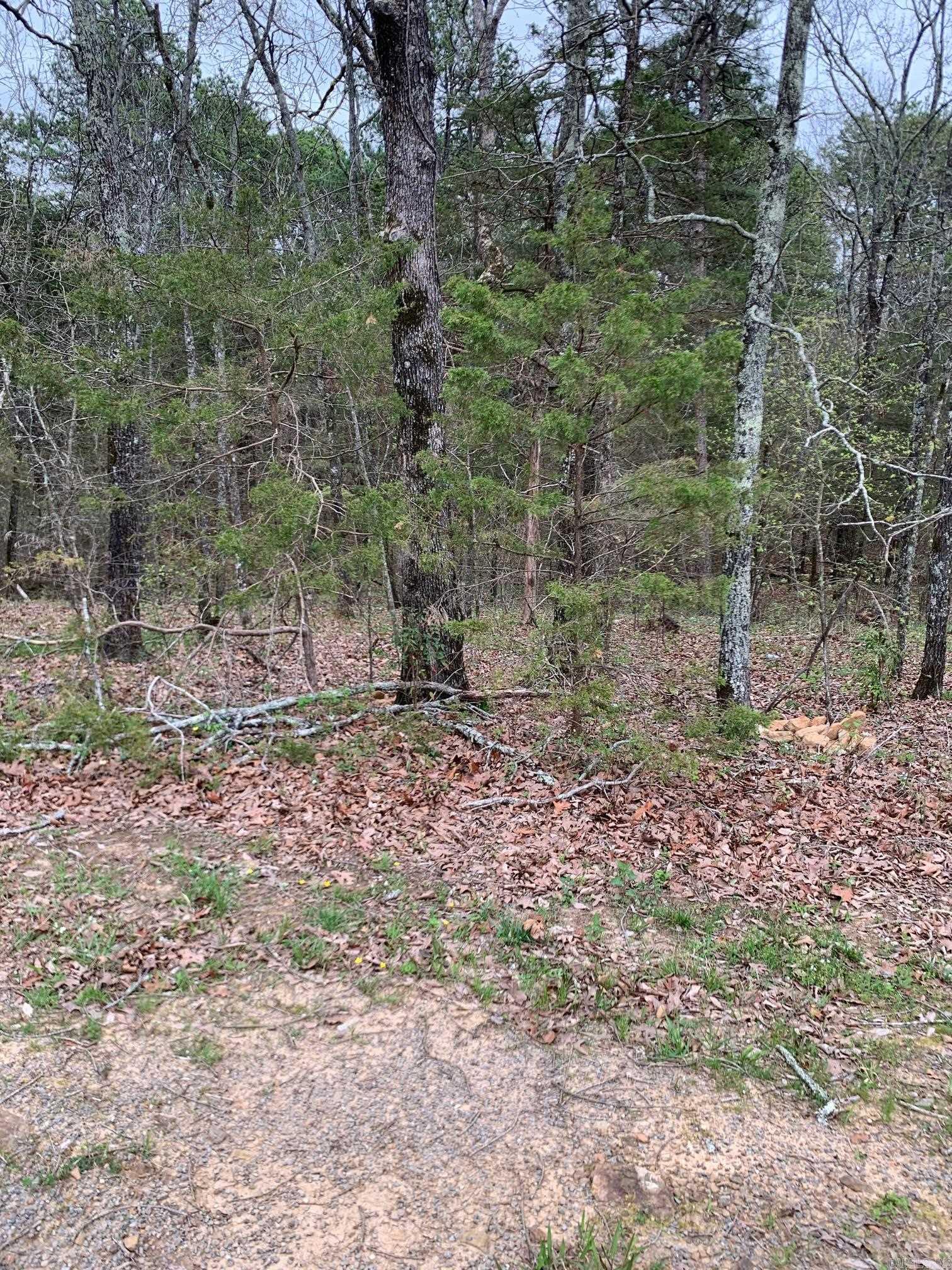   East Blue Ridge Terrace  Fairfield Bay, AR