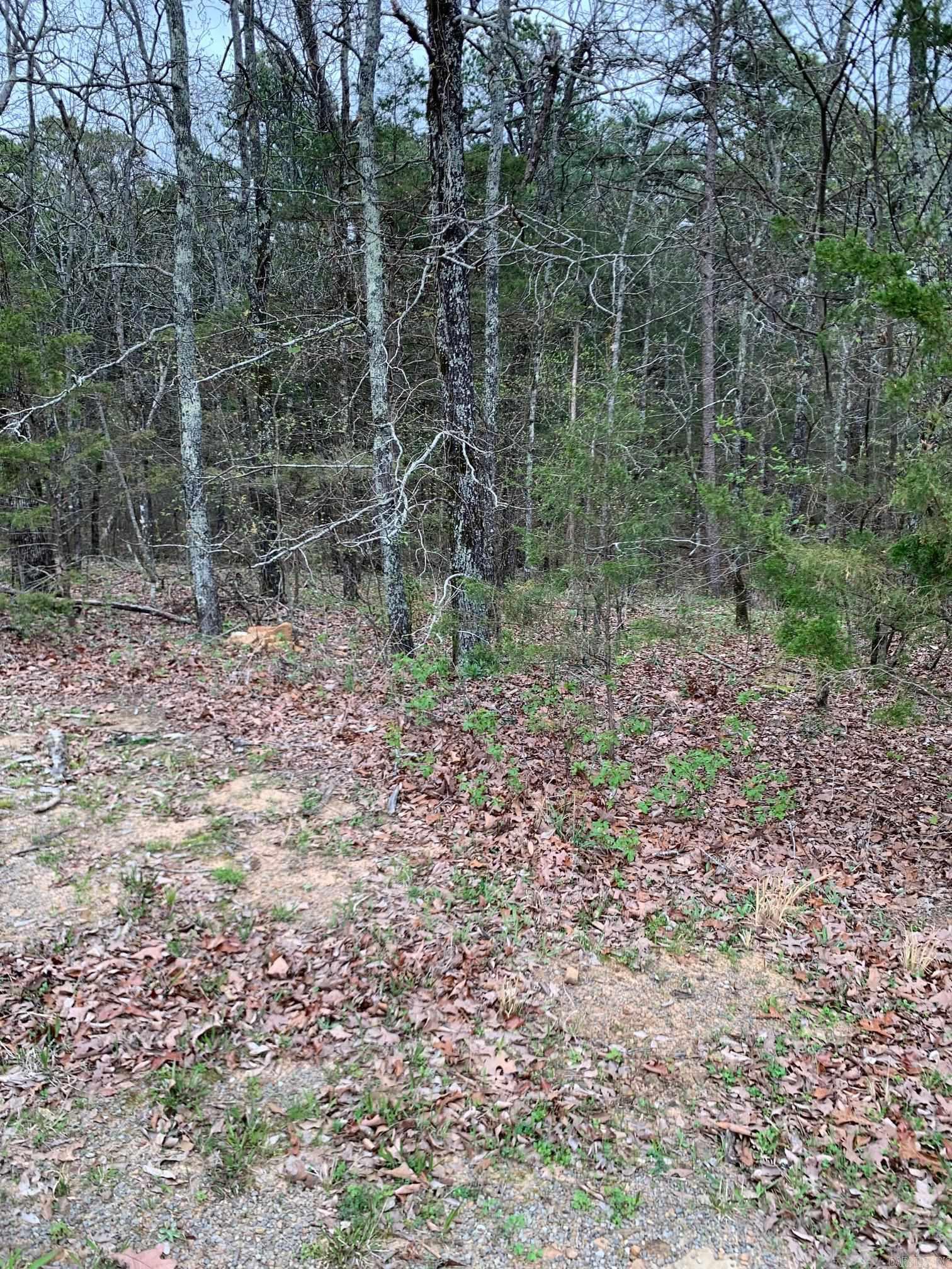   East Blue Ridge Terrace  Fairfield Bay, AR