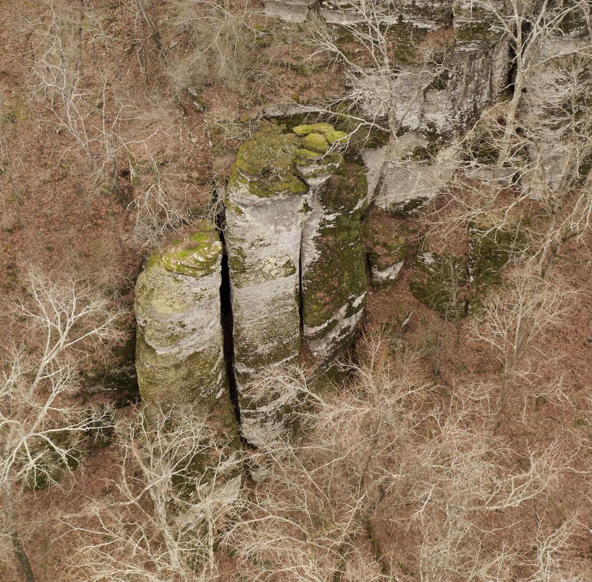 TRACT 2 2600  Libby Tract 2 Heber Springs, AR