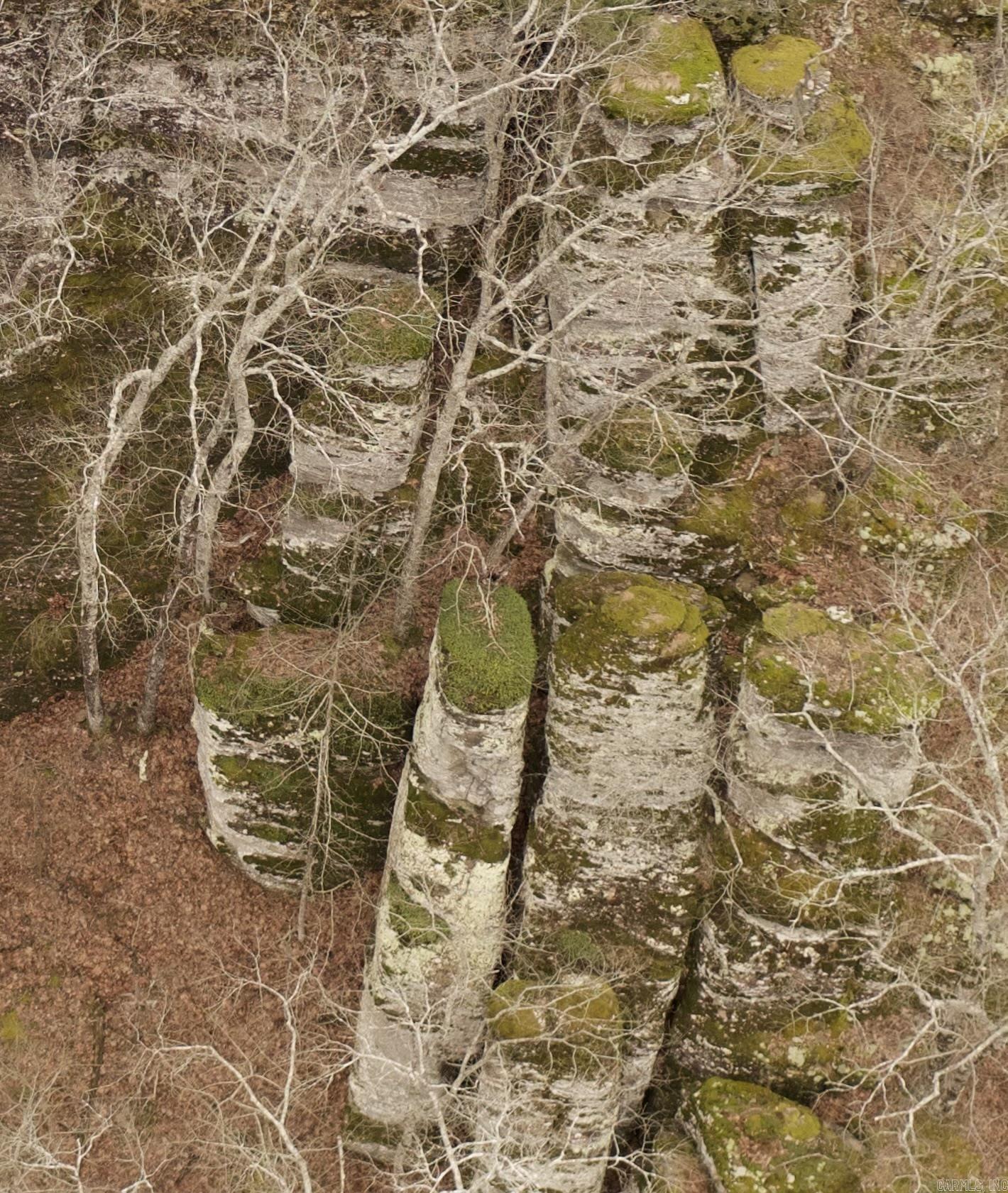 TRACT 2 2600  Libby Tract 2 Heber Springs, AR