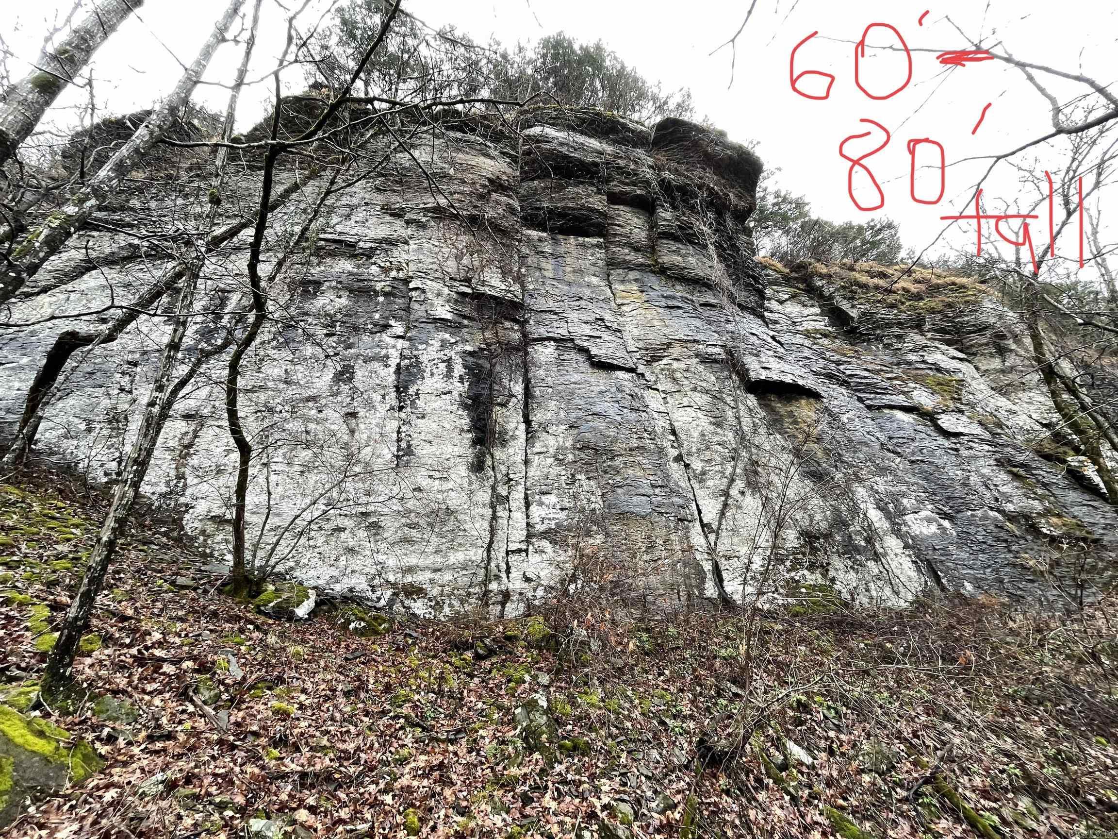 TRACT 2 2600  Libby Tract 2 Heber Springs, AR
