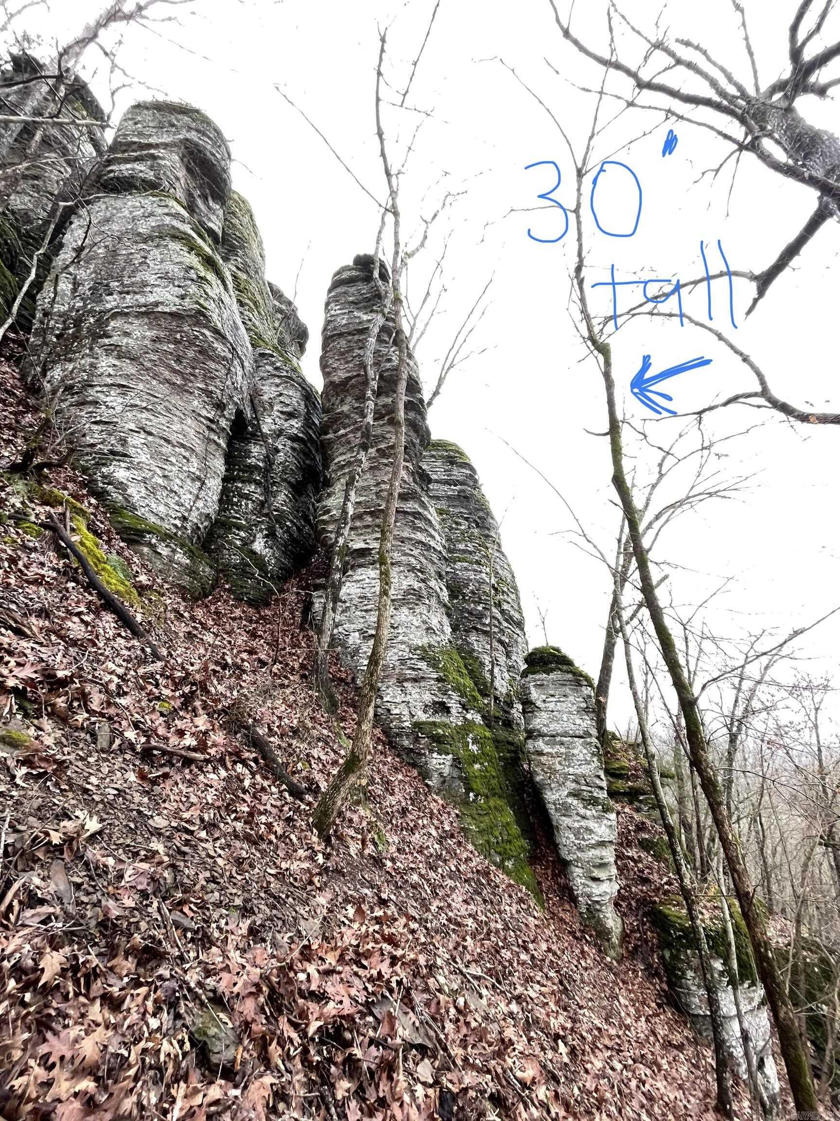 TRACT 2 2600  Libby Tract 2 Heber Springs, AR