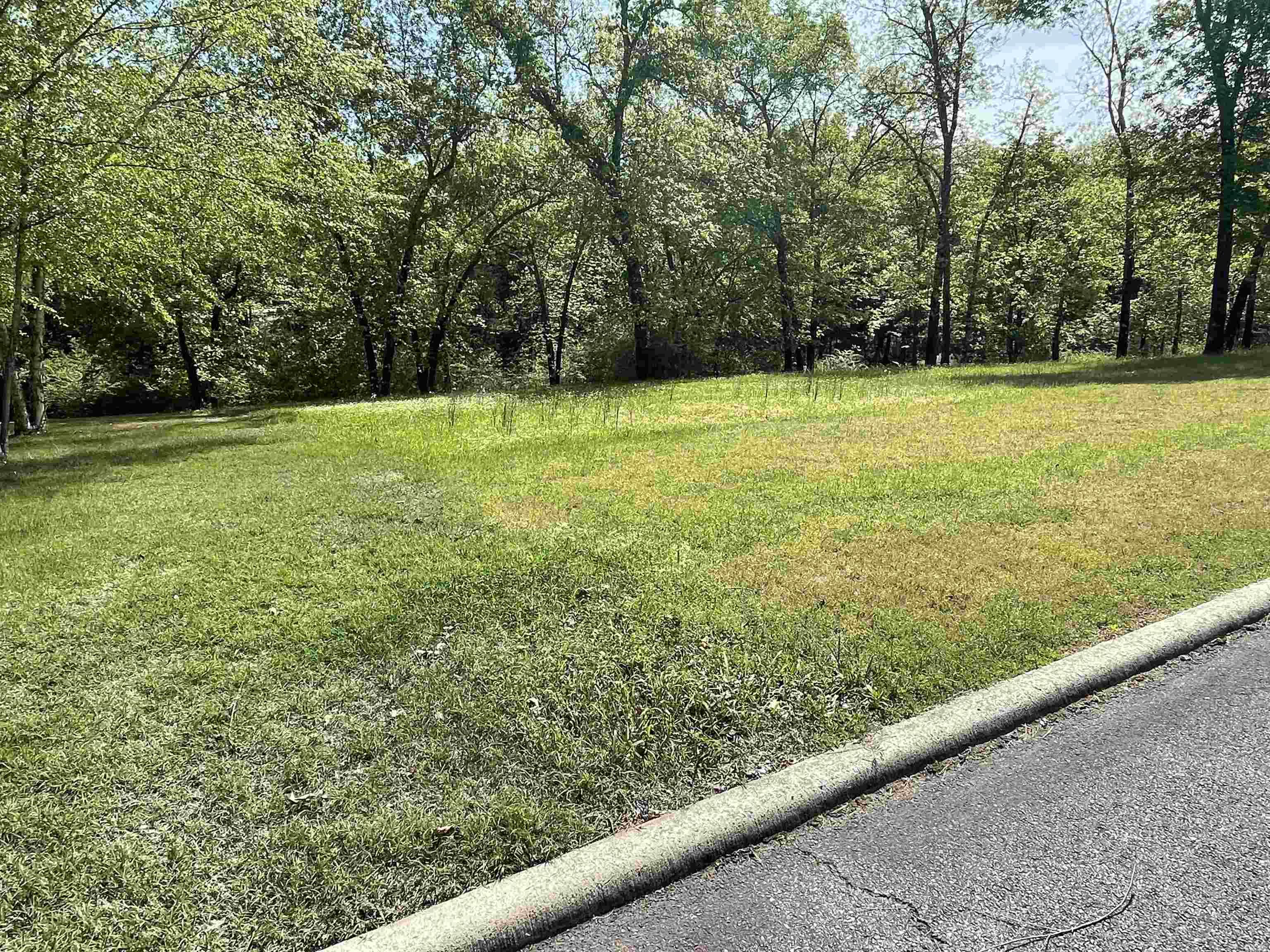 17  Brighton Pointe  Heber Springs, AR