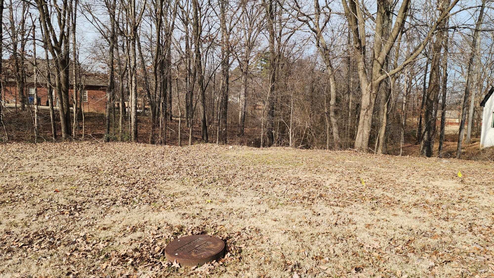 900  Rolling Forest Dr  Jonesboro, AR