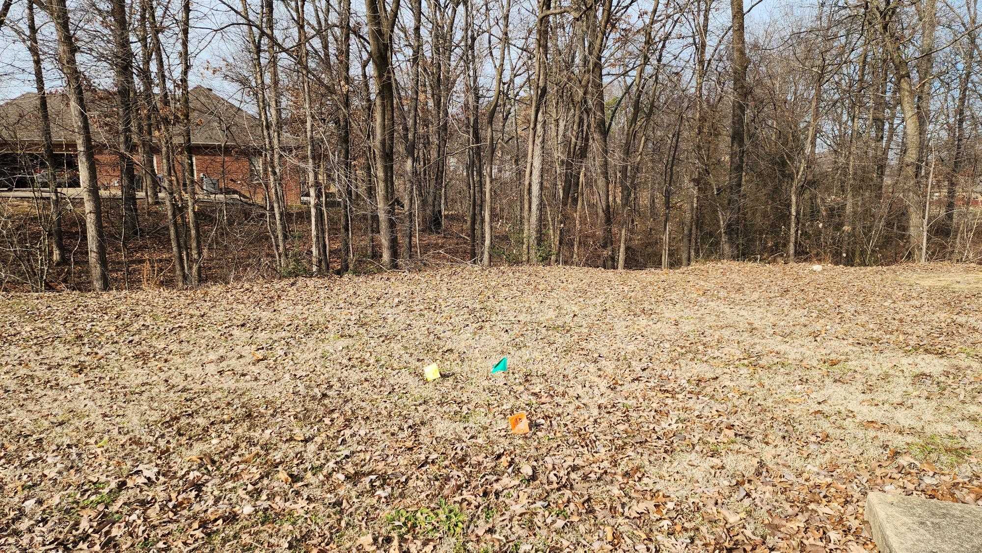 900  Rolling Forest Dr  Jonesboro, AR