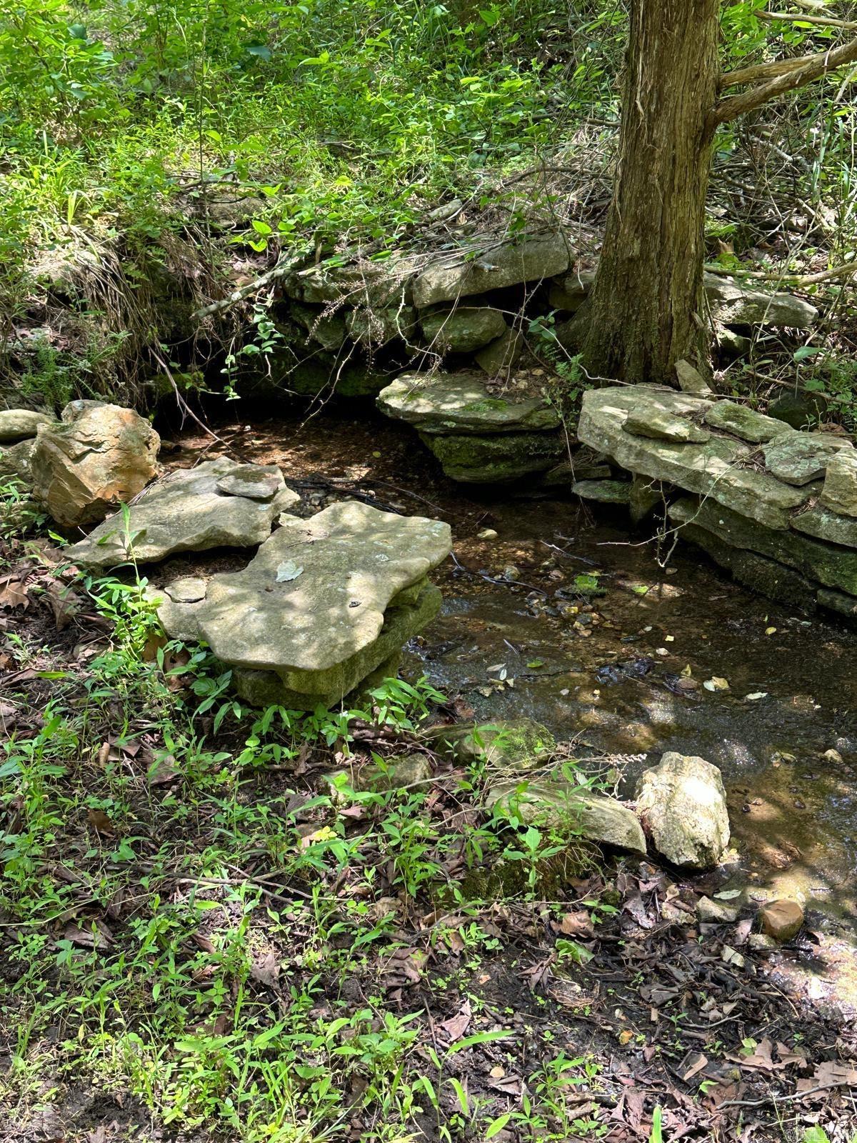 001 MC 5019 Springlake Rd Pyatt, AR