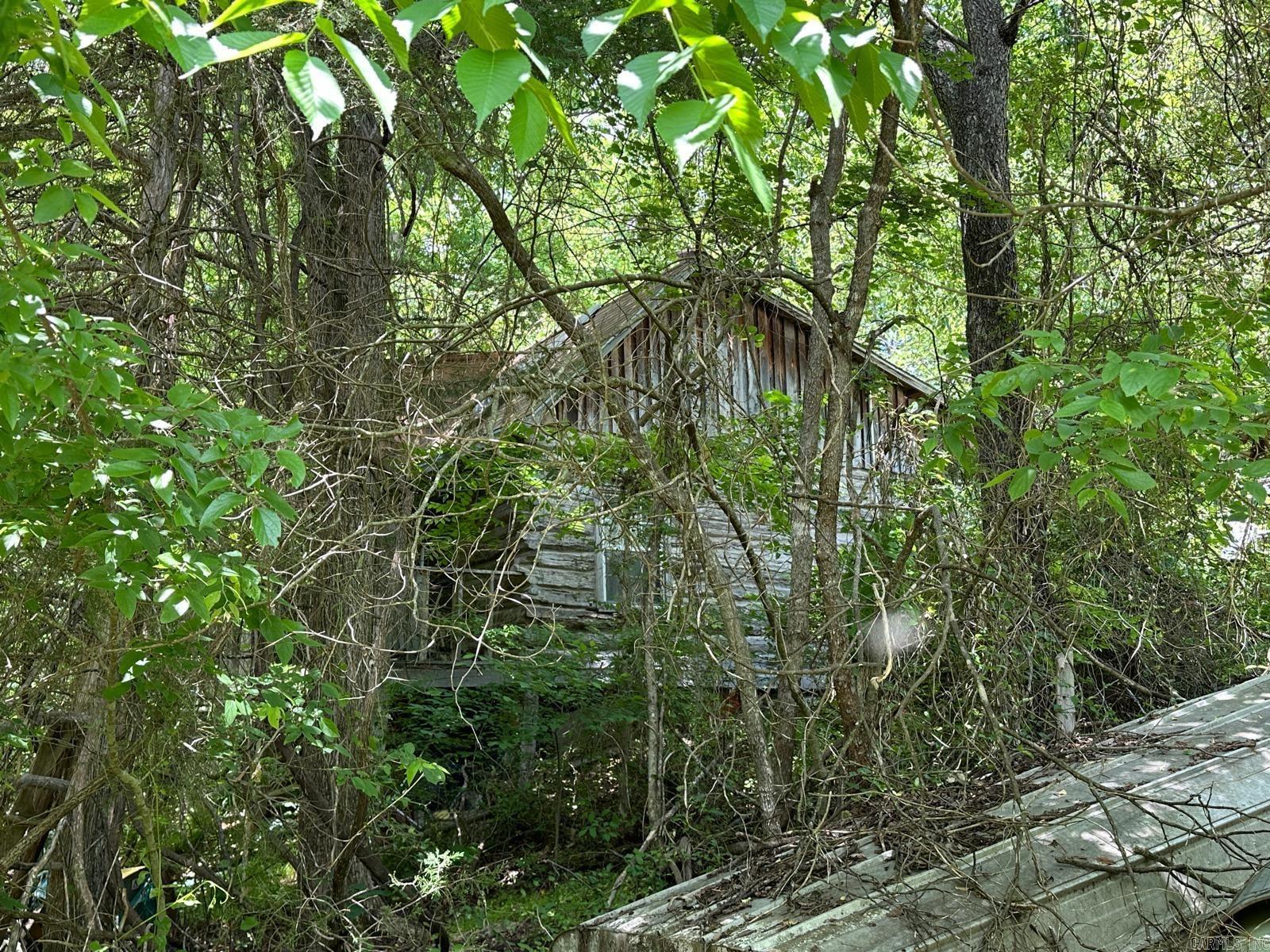 001 MC 5019 Springlake Rd Pyatt, AR