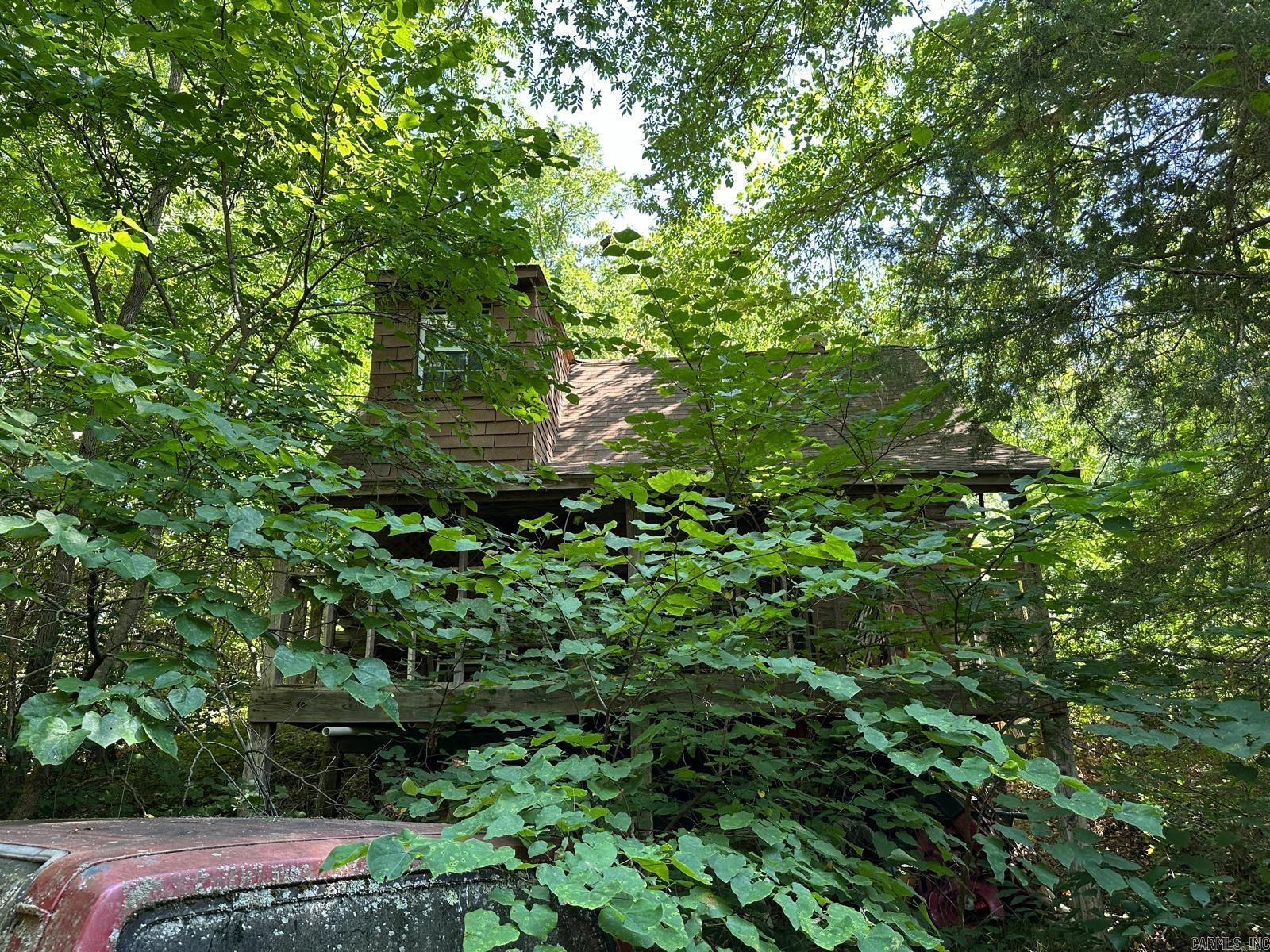 001 MC 5019 Springlake Rd Pyatt, AR