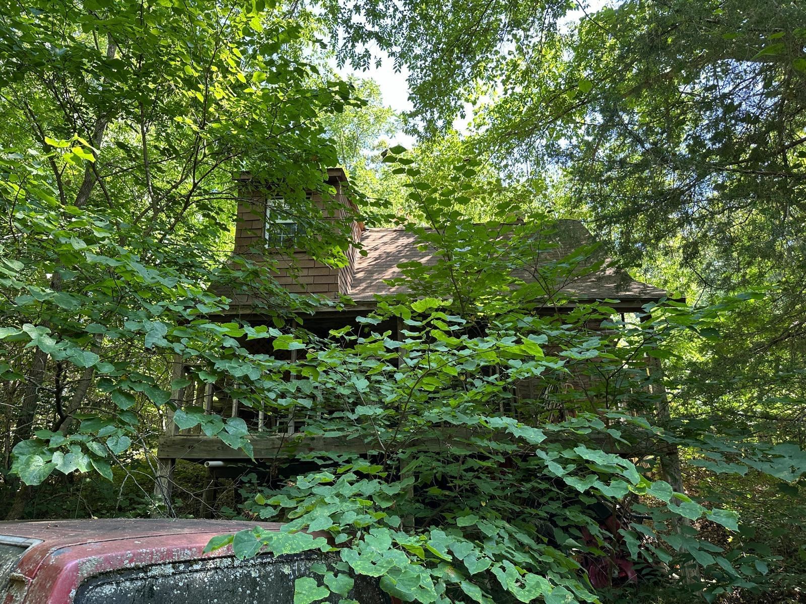 001  MC 5019 Springlake Rd Pyatt, AR