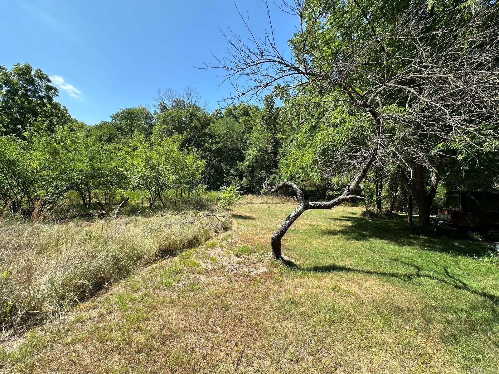 001 MC 5019 Springlake Rd Pyatt, AR