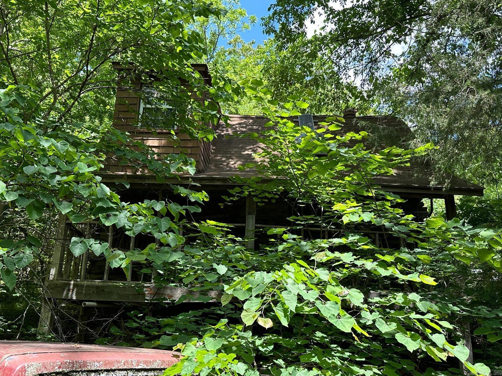 001 MC 5019 Springlake Rd Pyatt, AR