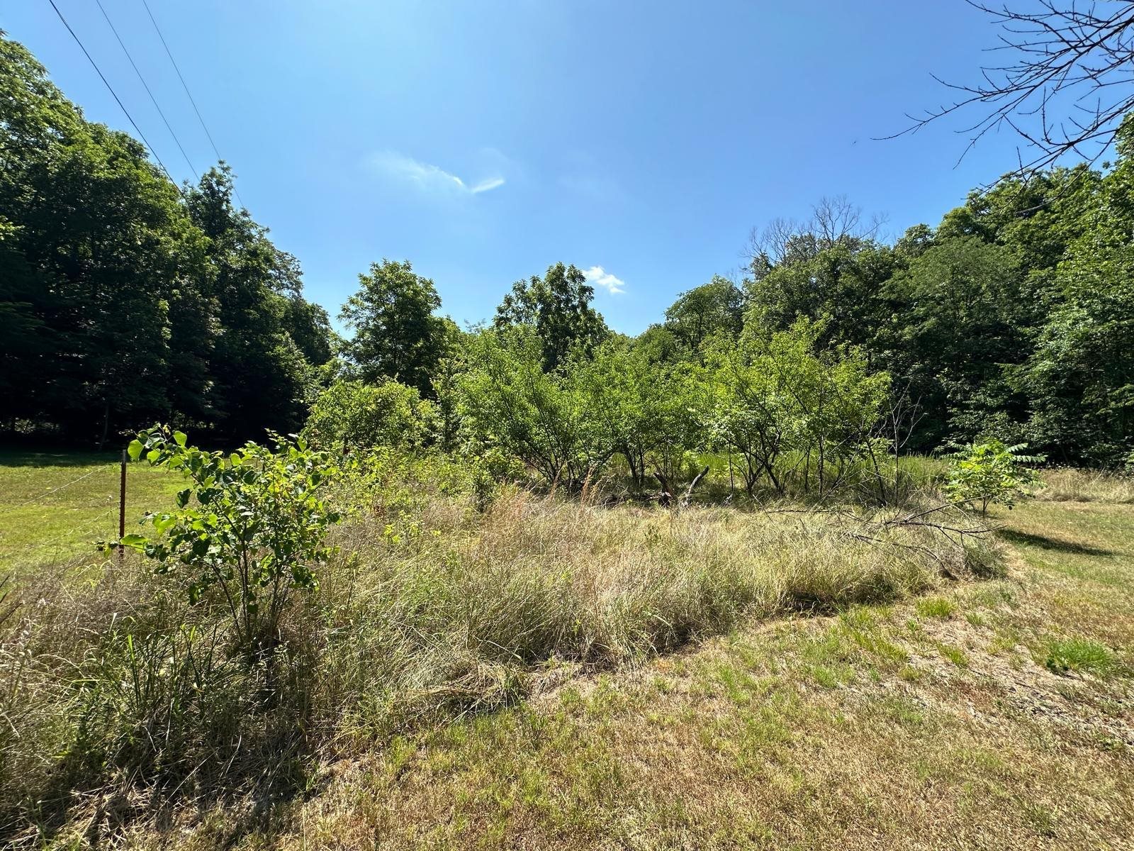 001  MC 5019 Springlake Rd Pyatt, AR