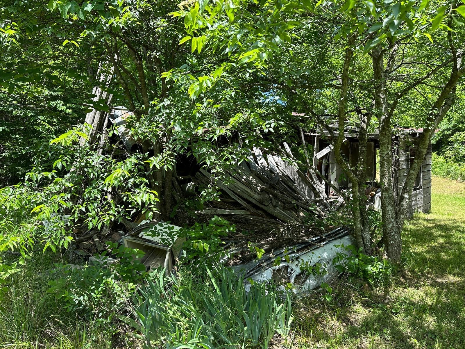 001  MC 5019 Springlake Rd Pyatt, AR