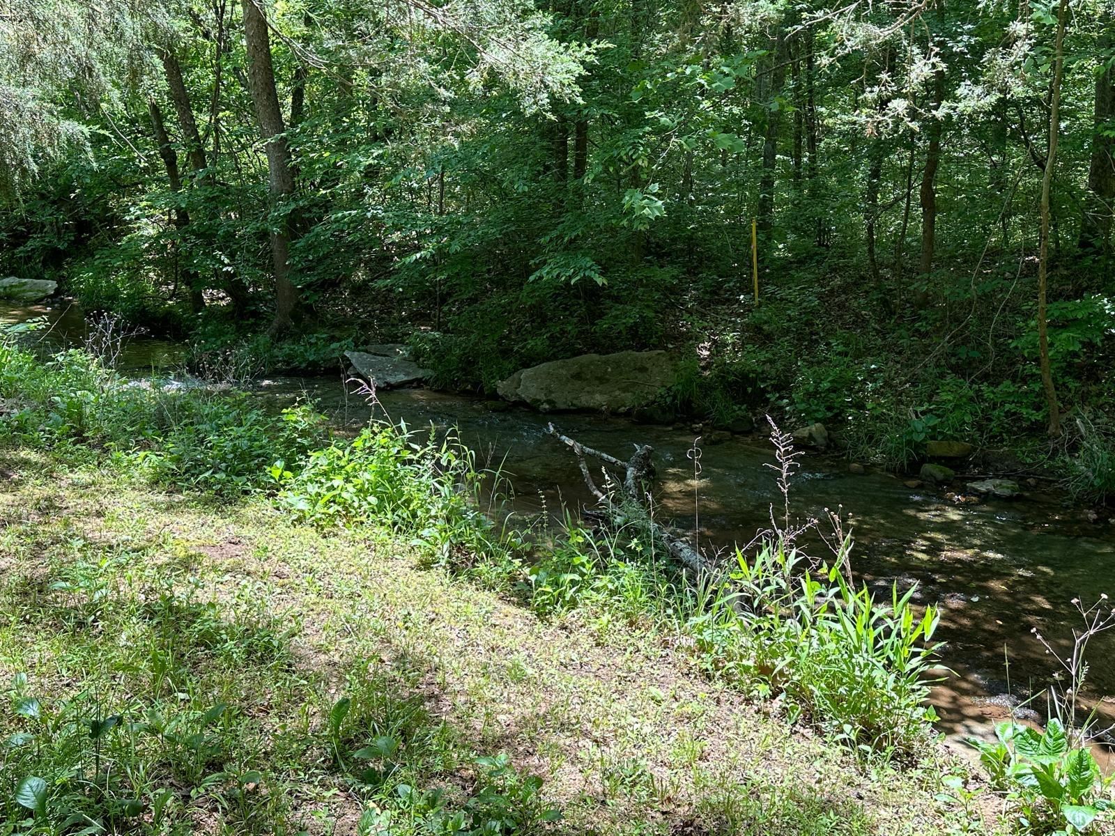 001  MC 5019 Springlake Rd Pyatt, AR