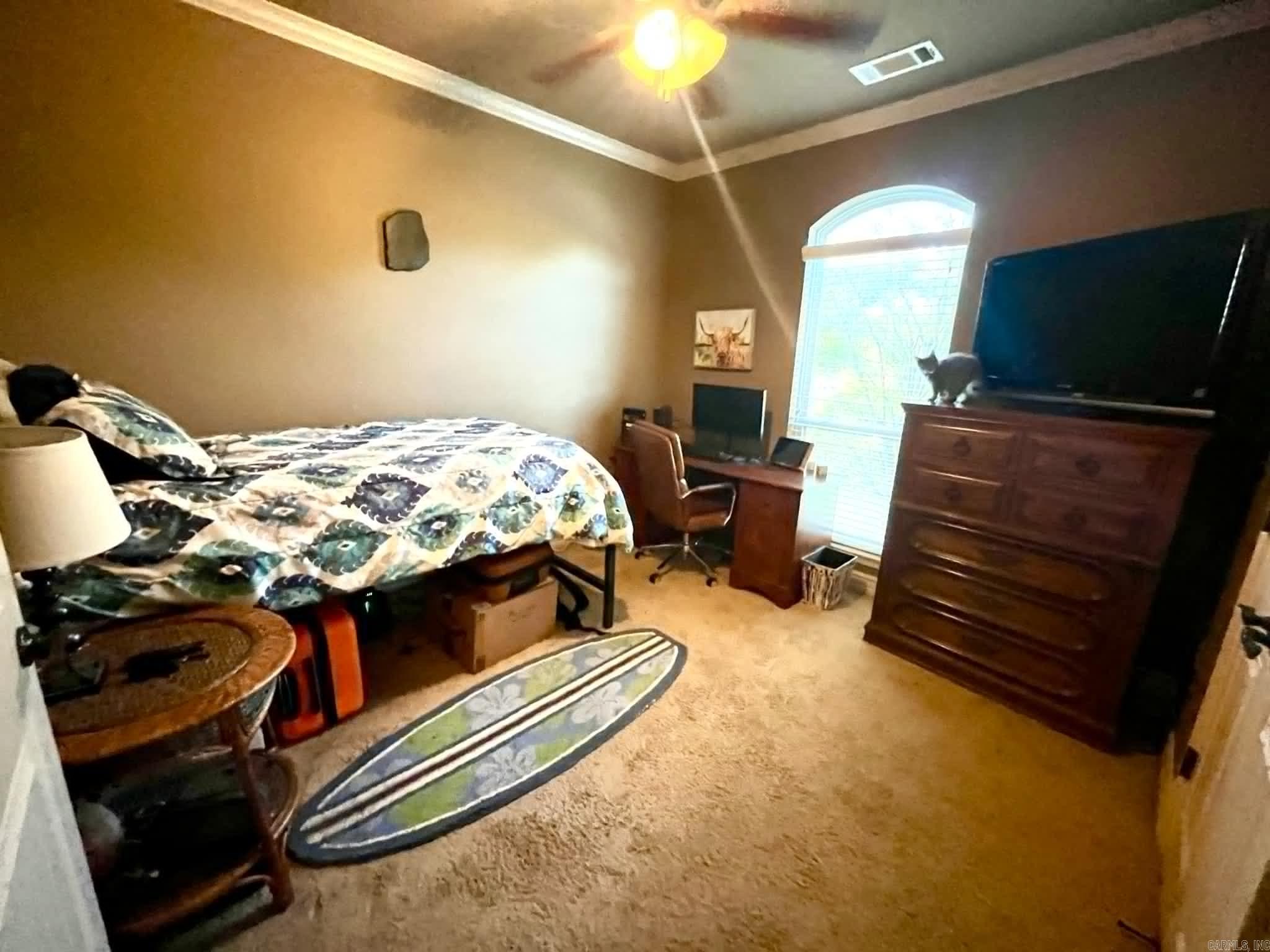 1313  Nature  Benton, AR