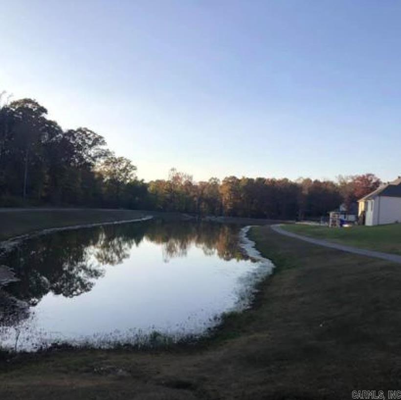 1313  Nature  Benton, AR