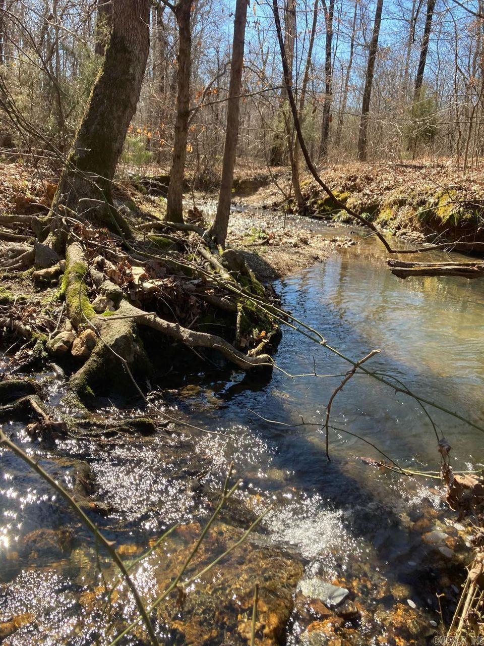 1313  Nature  Benton, AR