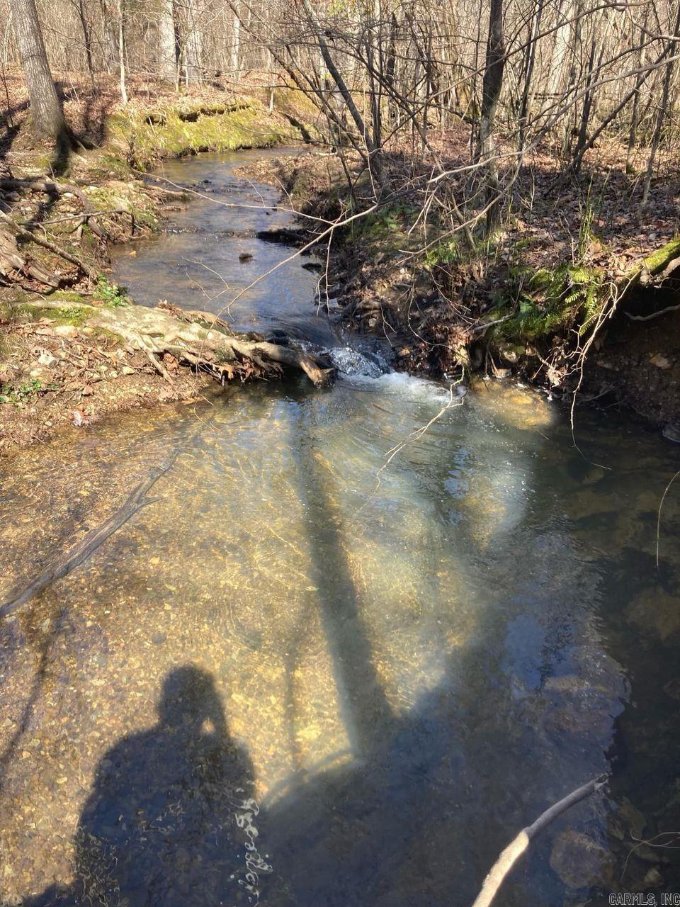 1313  Nature  Benton, AR