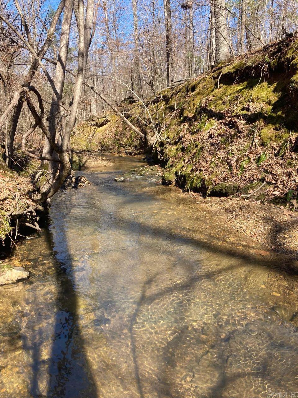 1313  Nature  Benton, AR