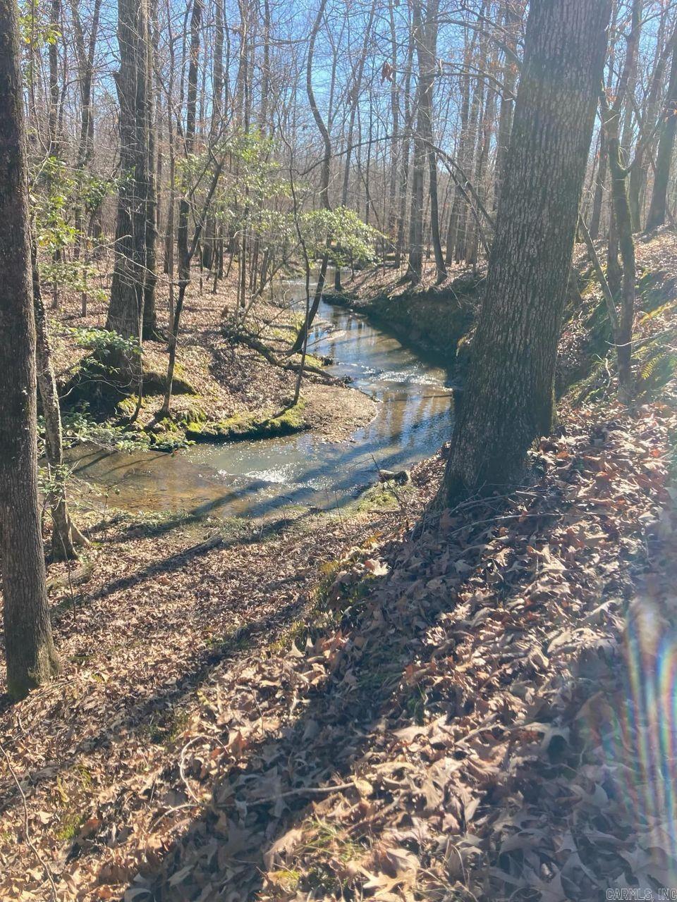 1313  Nature  Benton, AR