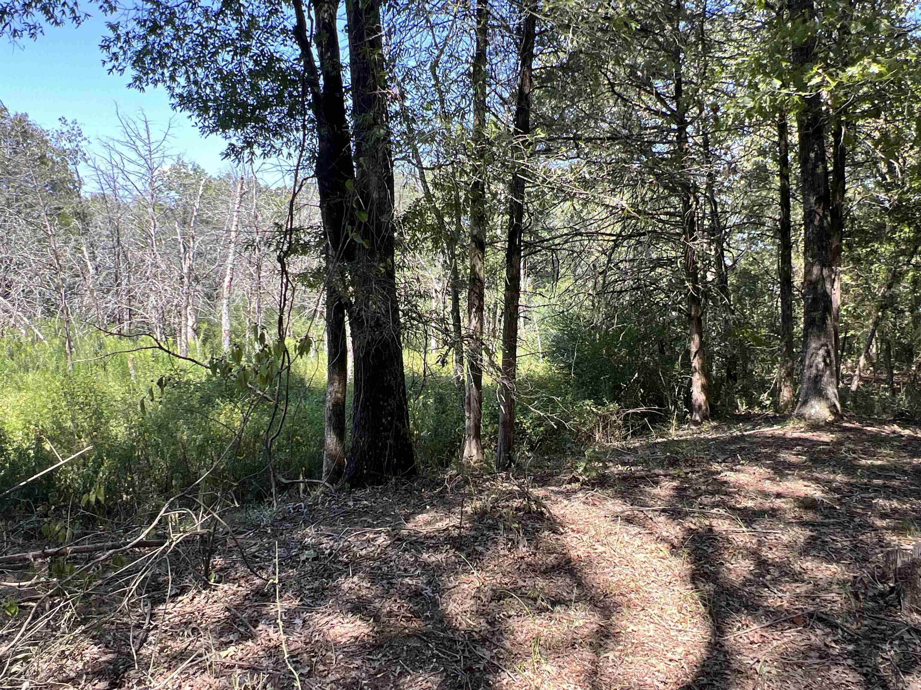 577  Day Rd  Pottsville, AR