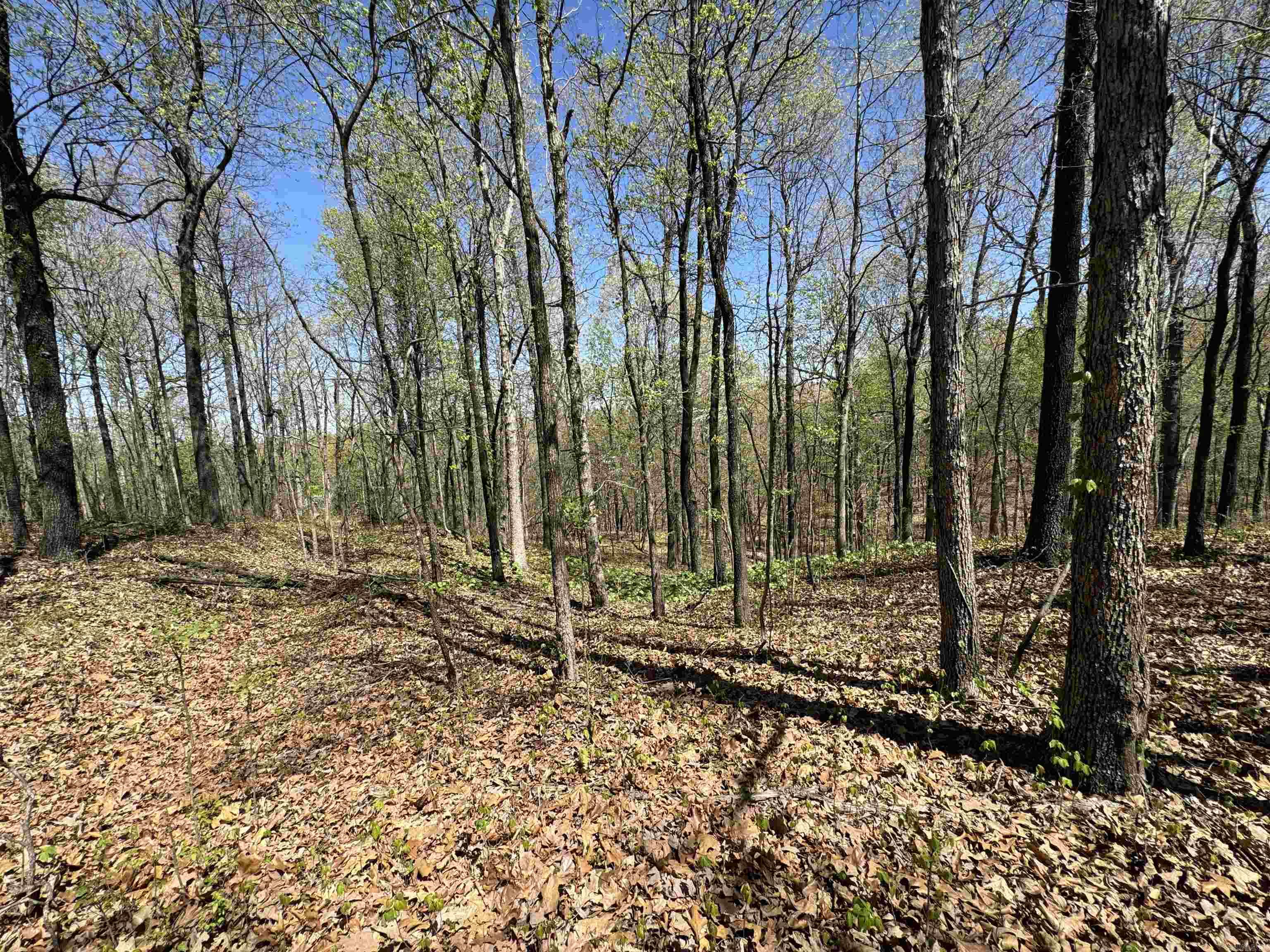 0  County Road 431  Pollard, AR
