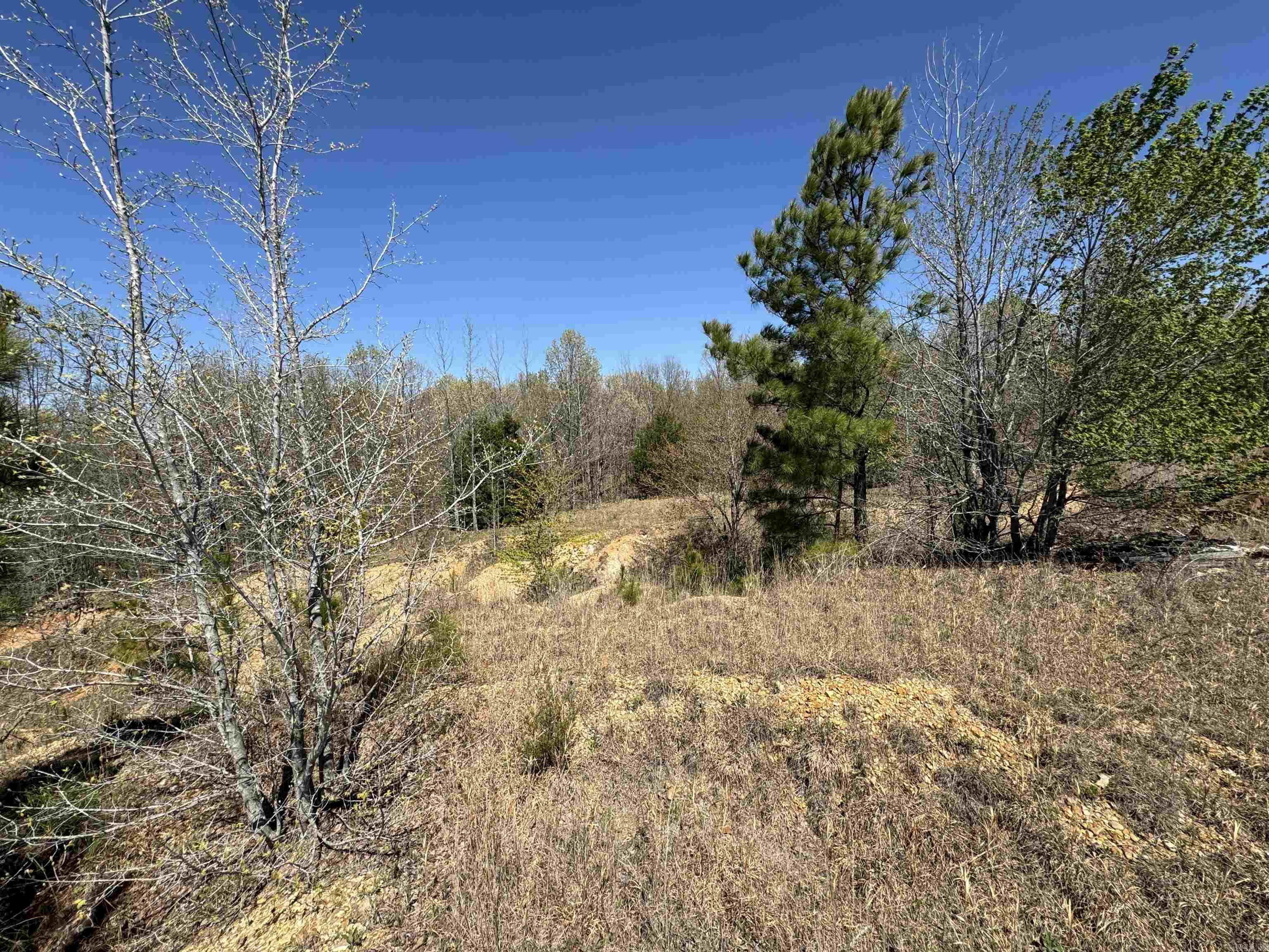 0  County Road 431  Pollard, AR