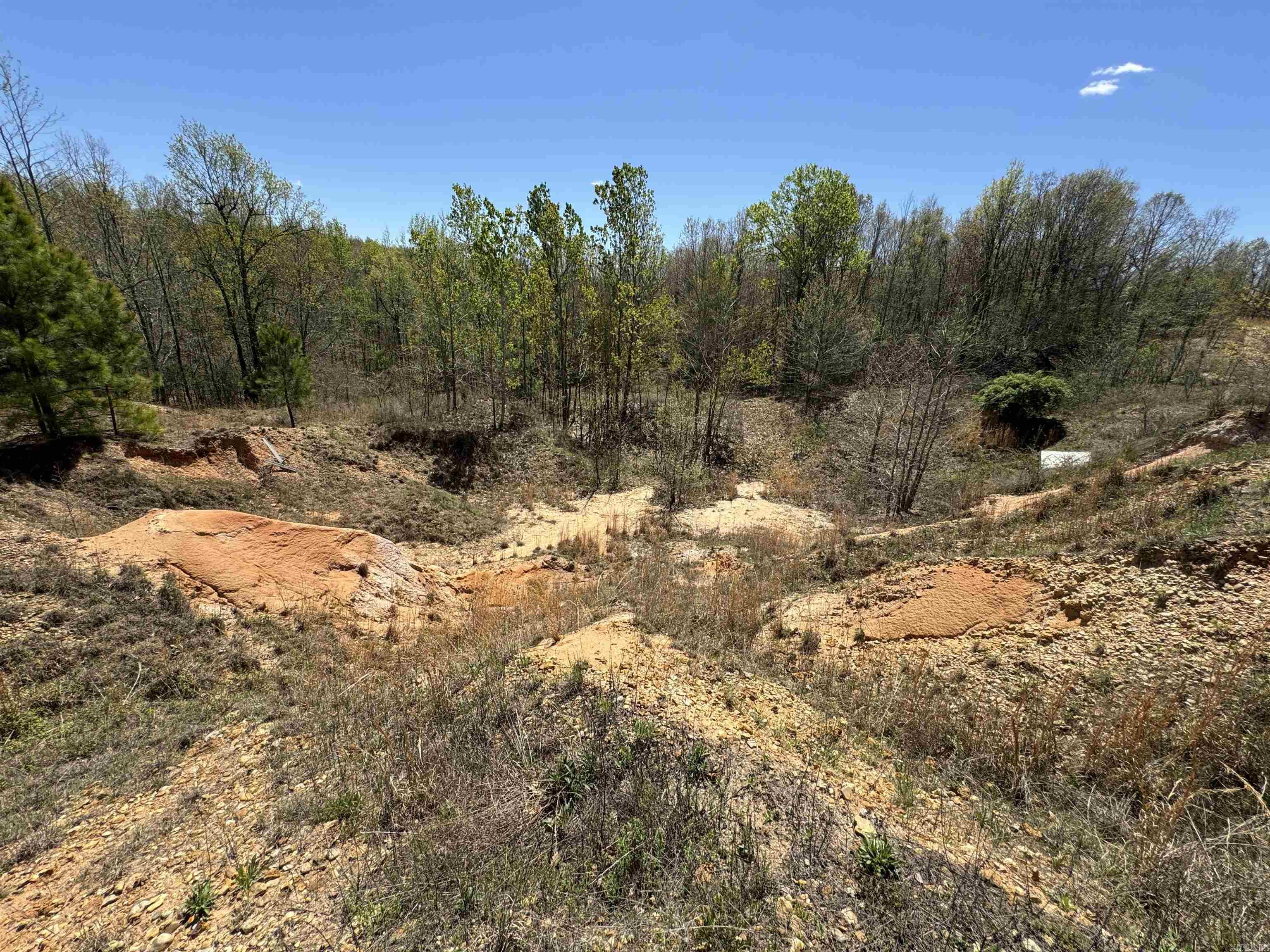 0  County Road 431  Pollard, AR