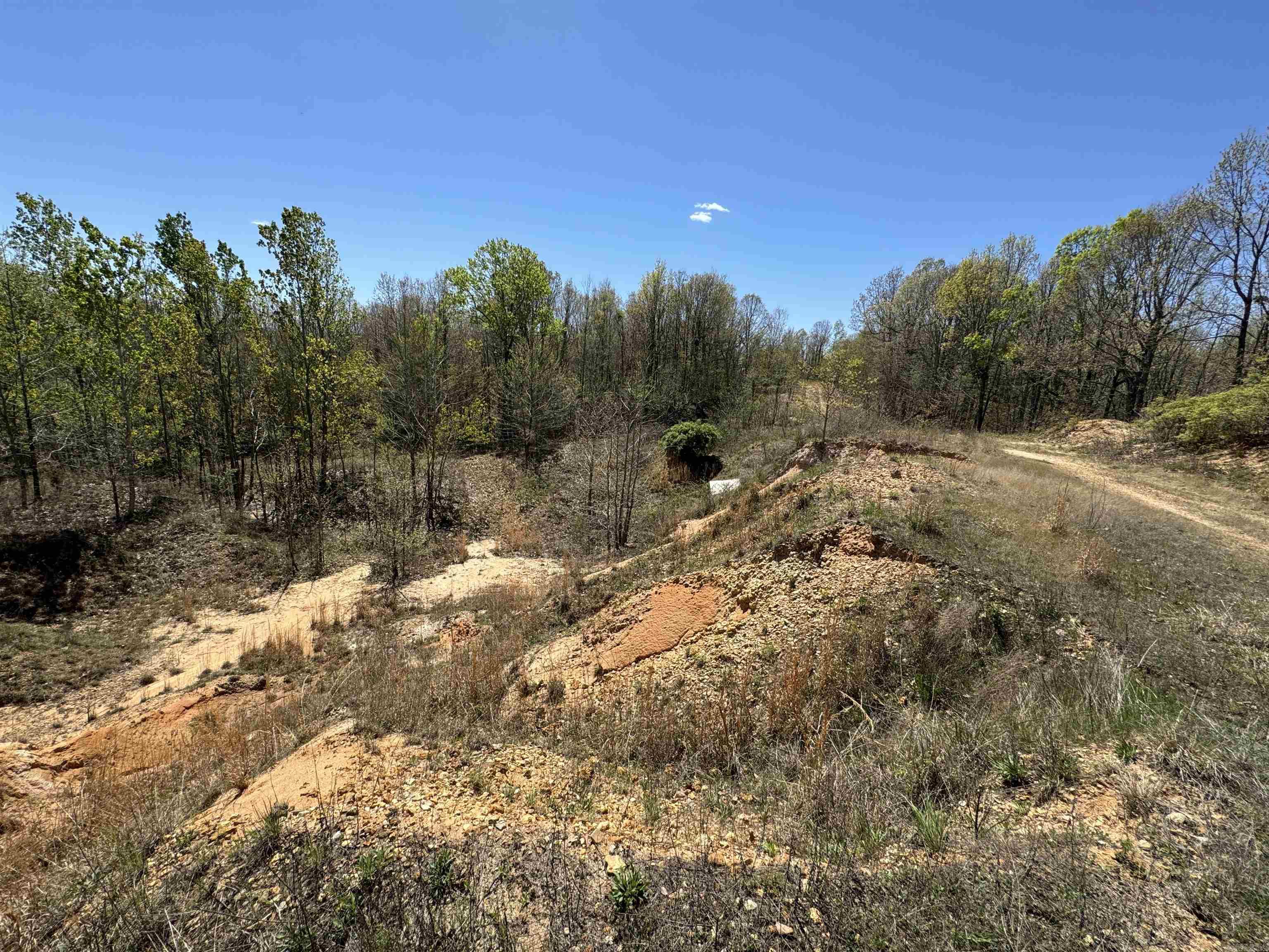 0  County Road 431  Pollard, AR