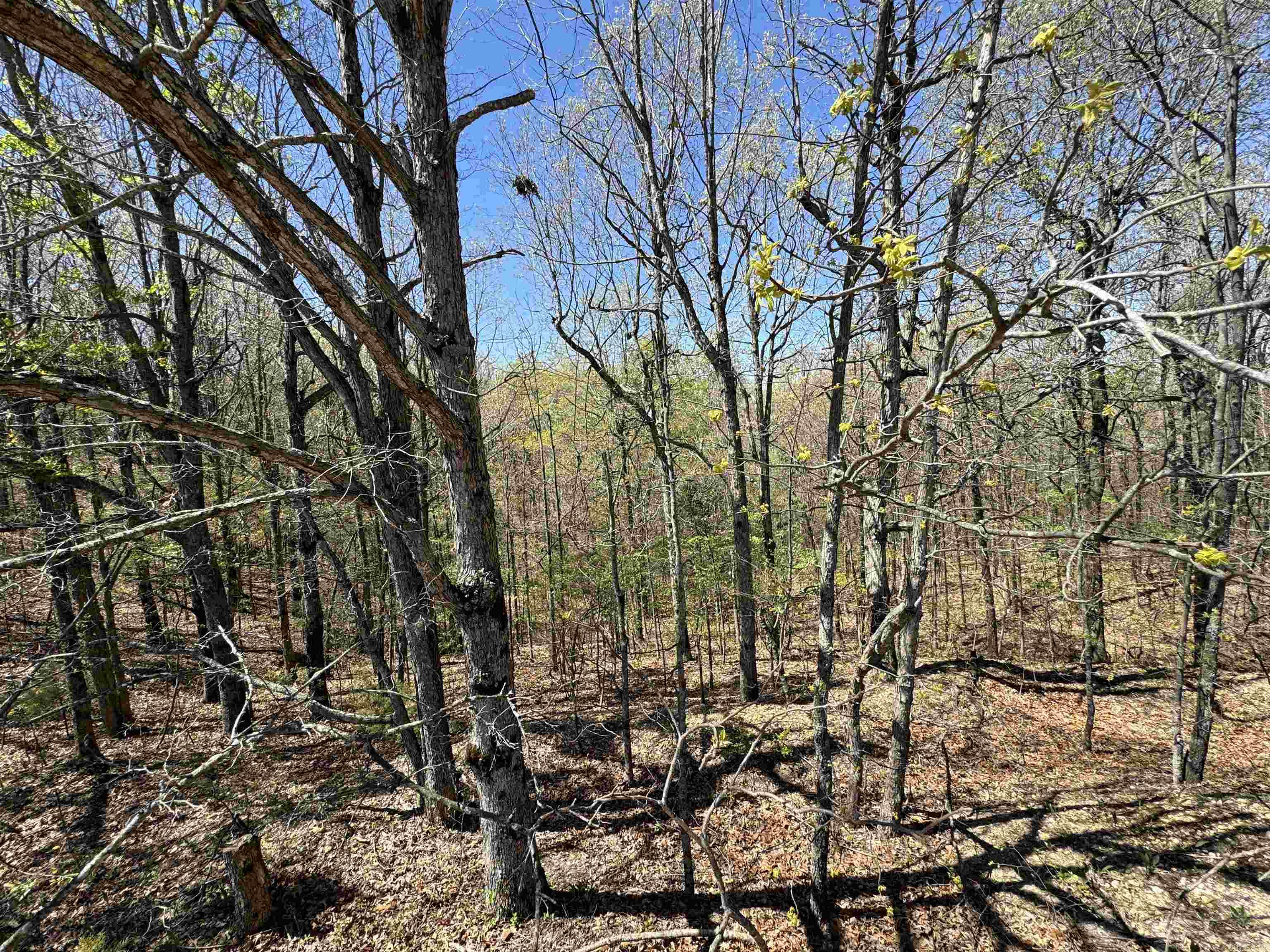 0  County Road 431  Pollard, AR