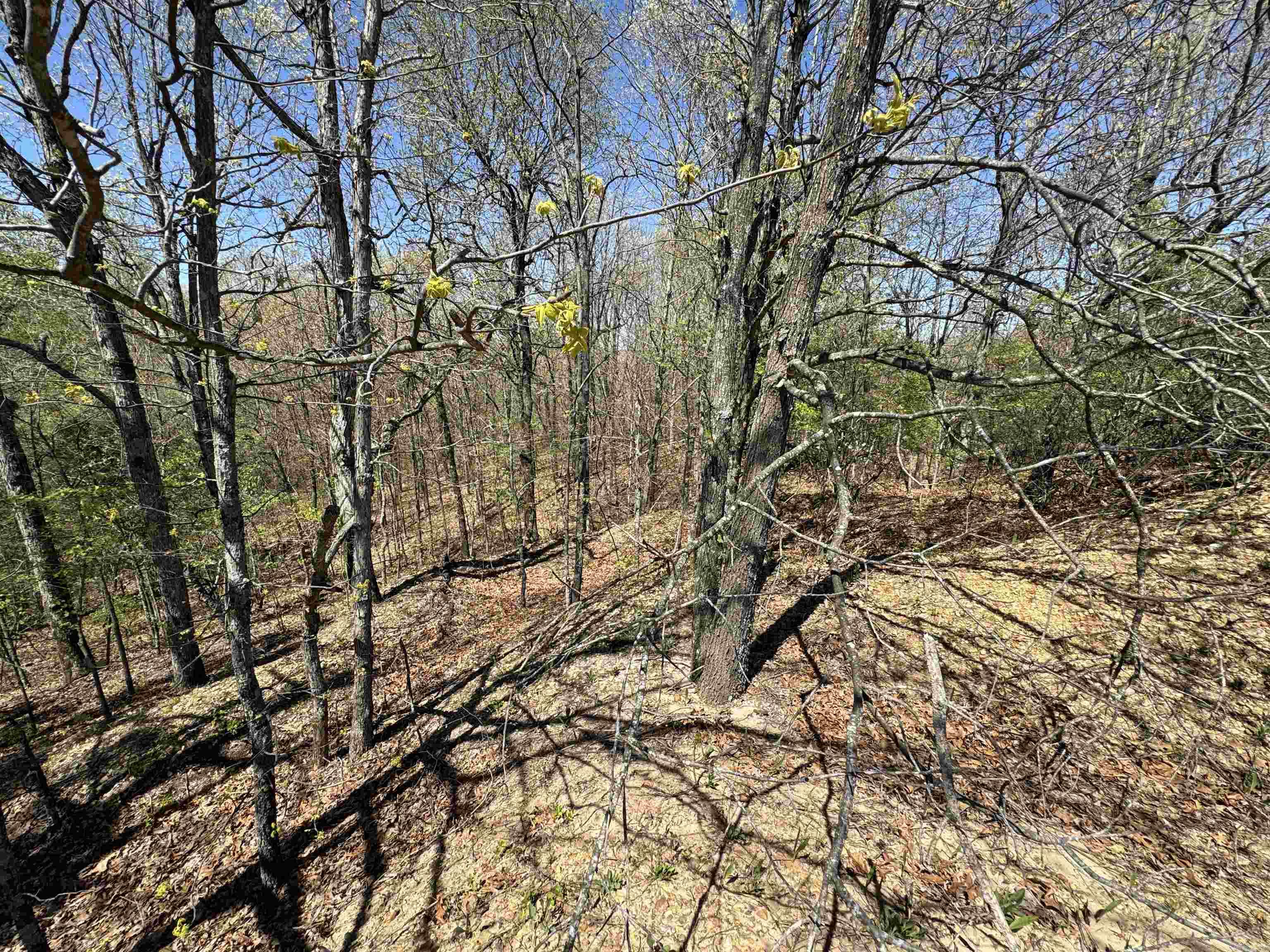 0  County Road 431  Pollard, AR