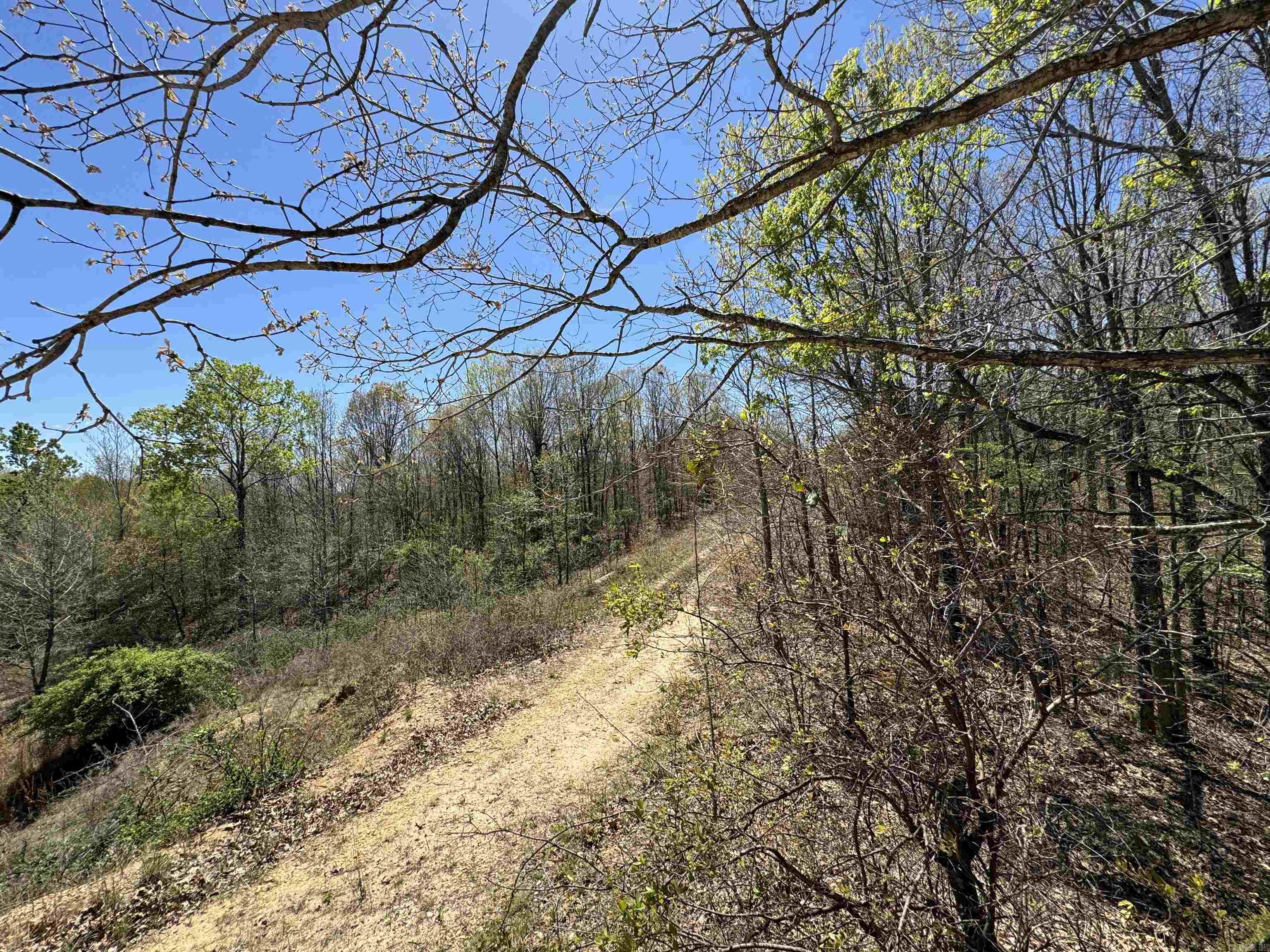 0  County Road 431  Pollard, AR