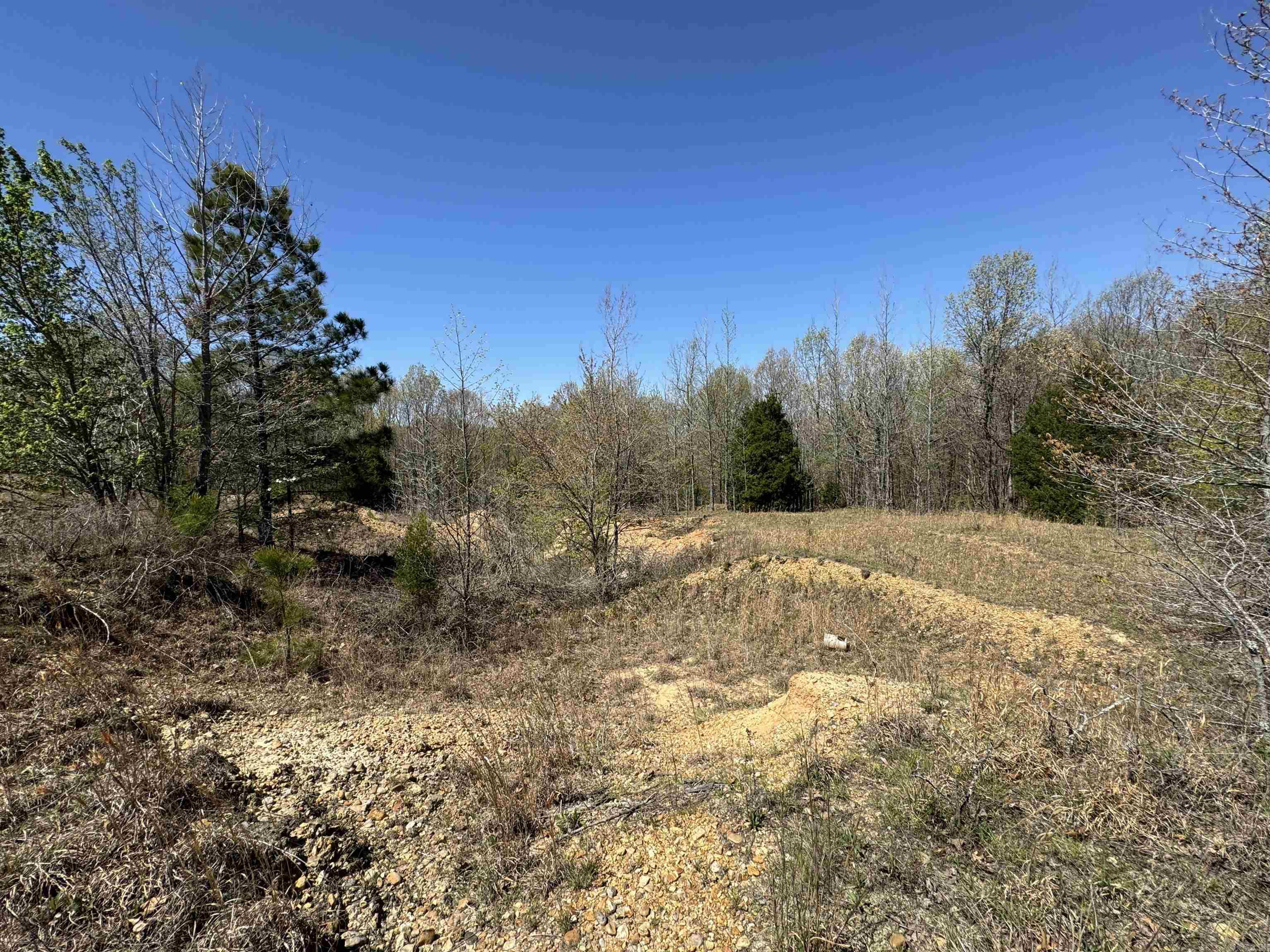 0  County Road 431  Pollard, AR