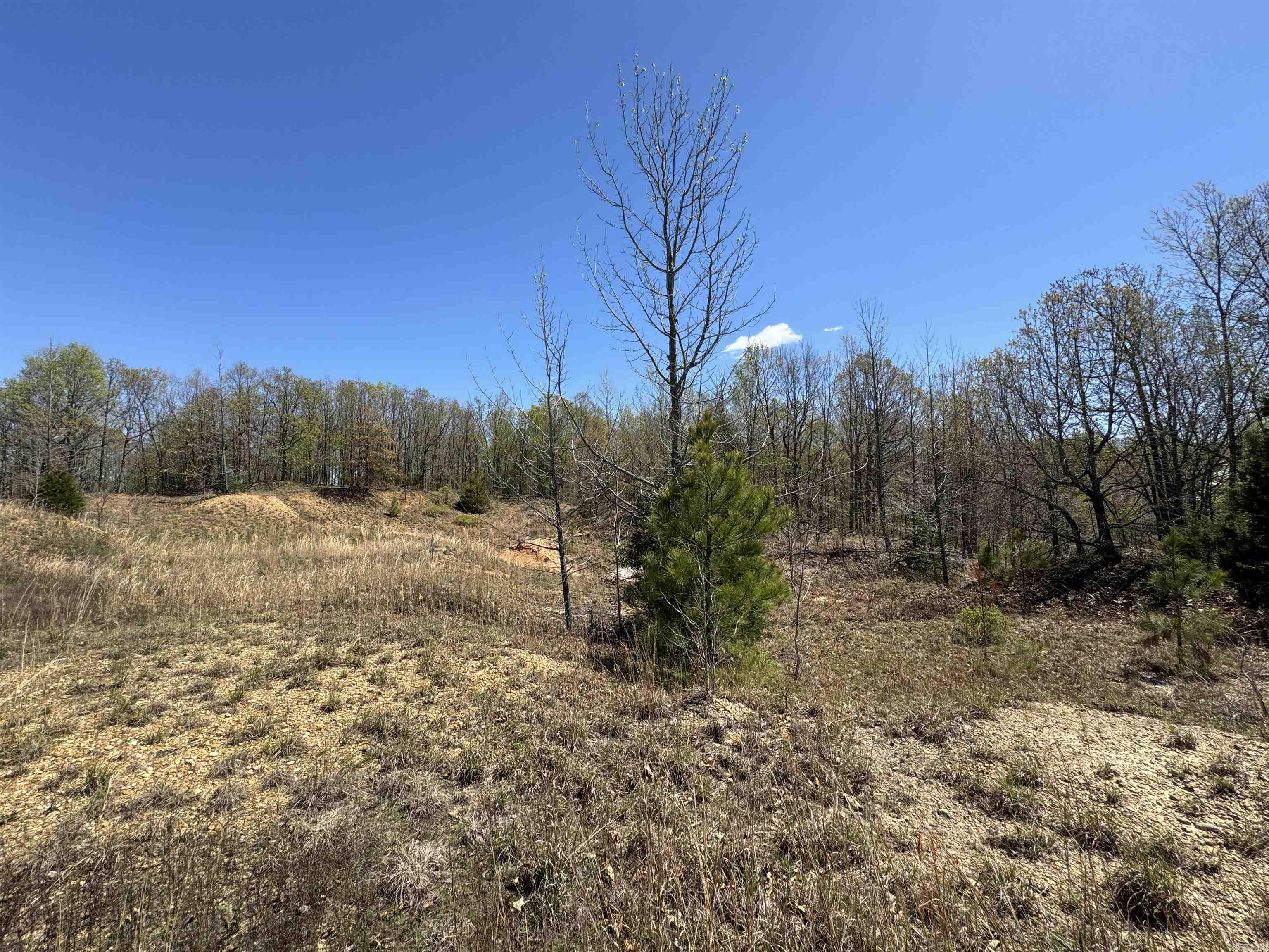 0  County Road 431  Pollard, AR