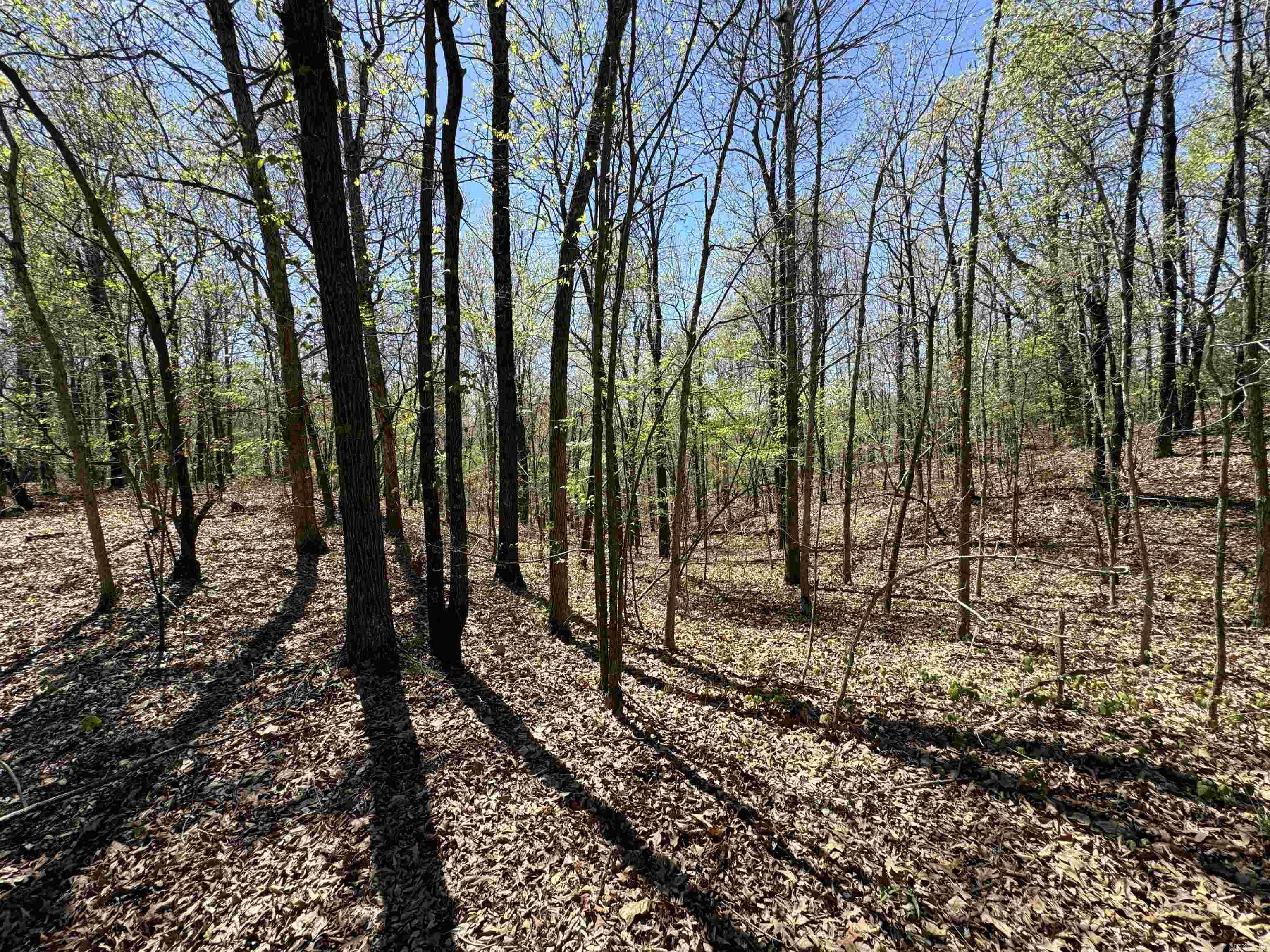 0  County Road 431  Pollard, AR