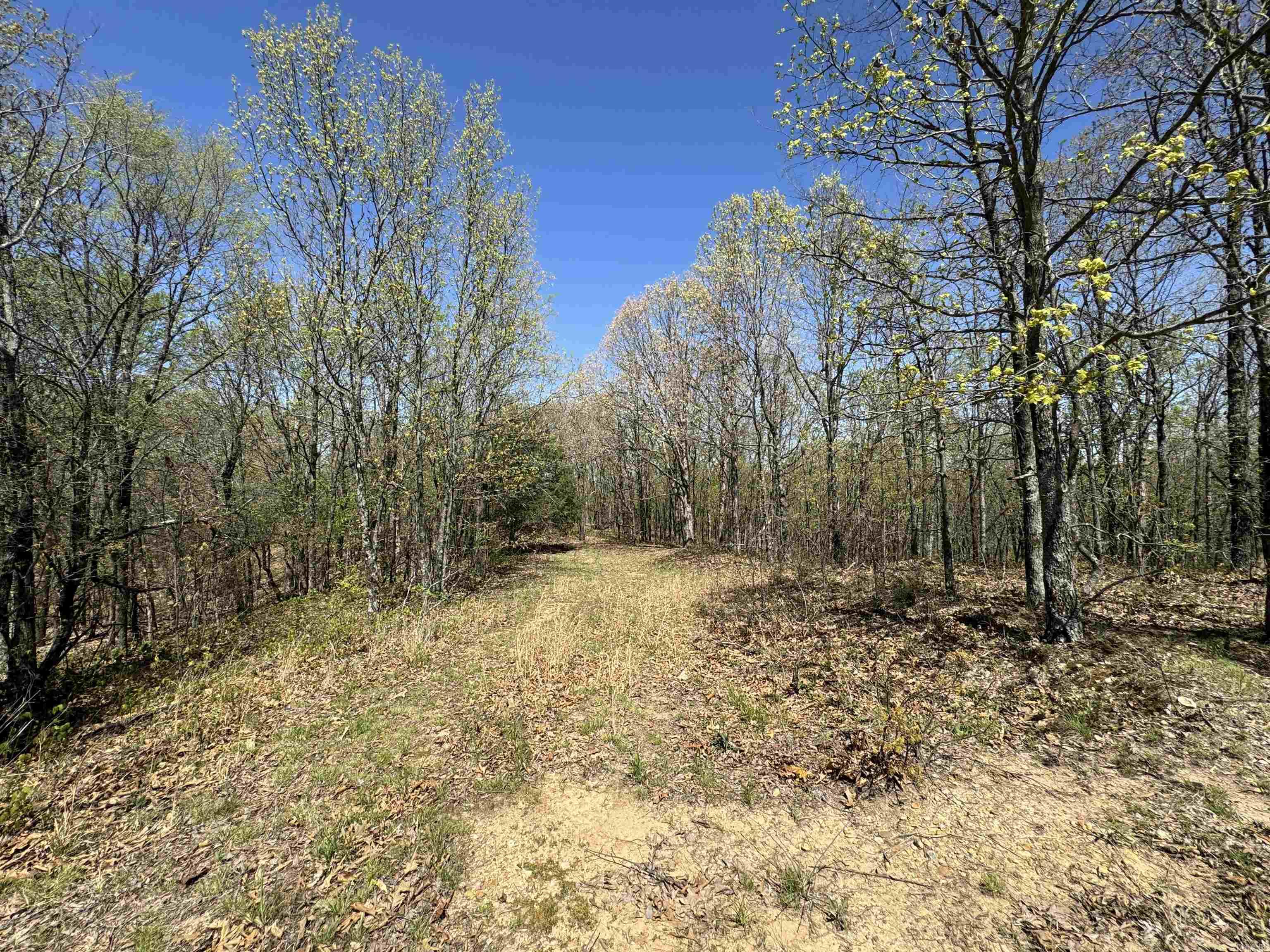 0  County Road 431  Pollard, AR